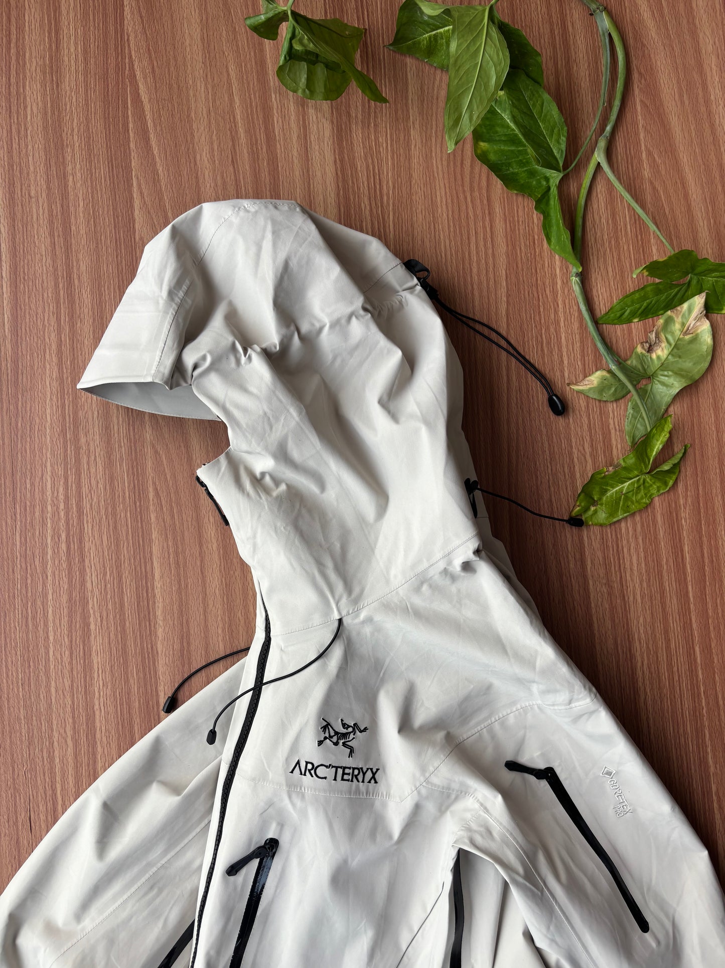 Arcteryx alpha AR