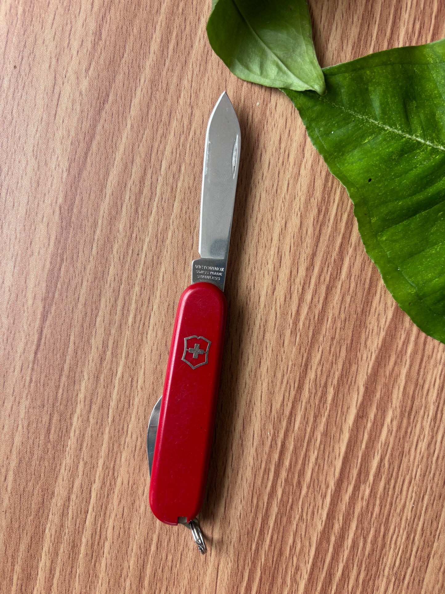 Victorinox Waiter OG knife