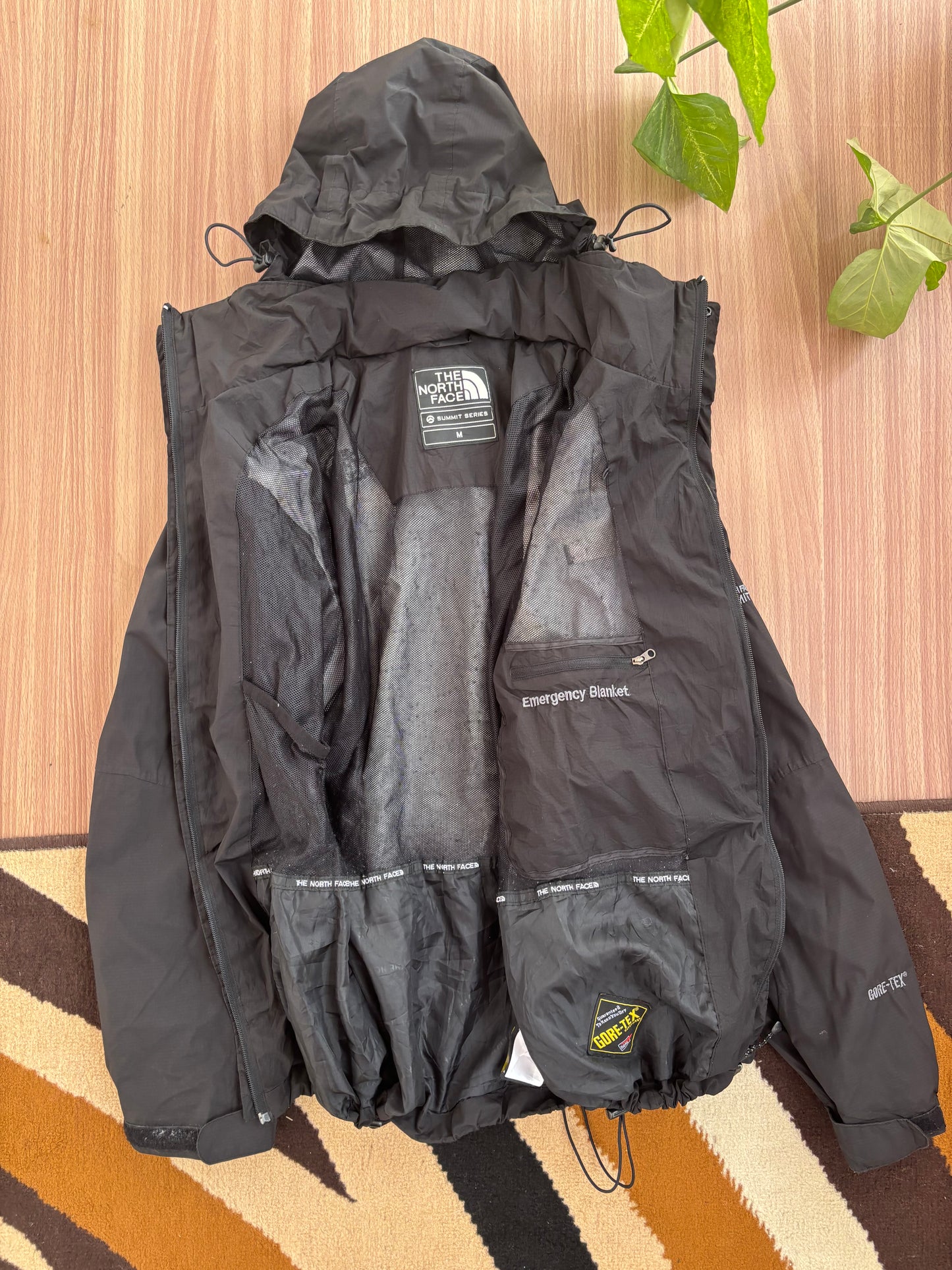 TNF summit series goretex shell