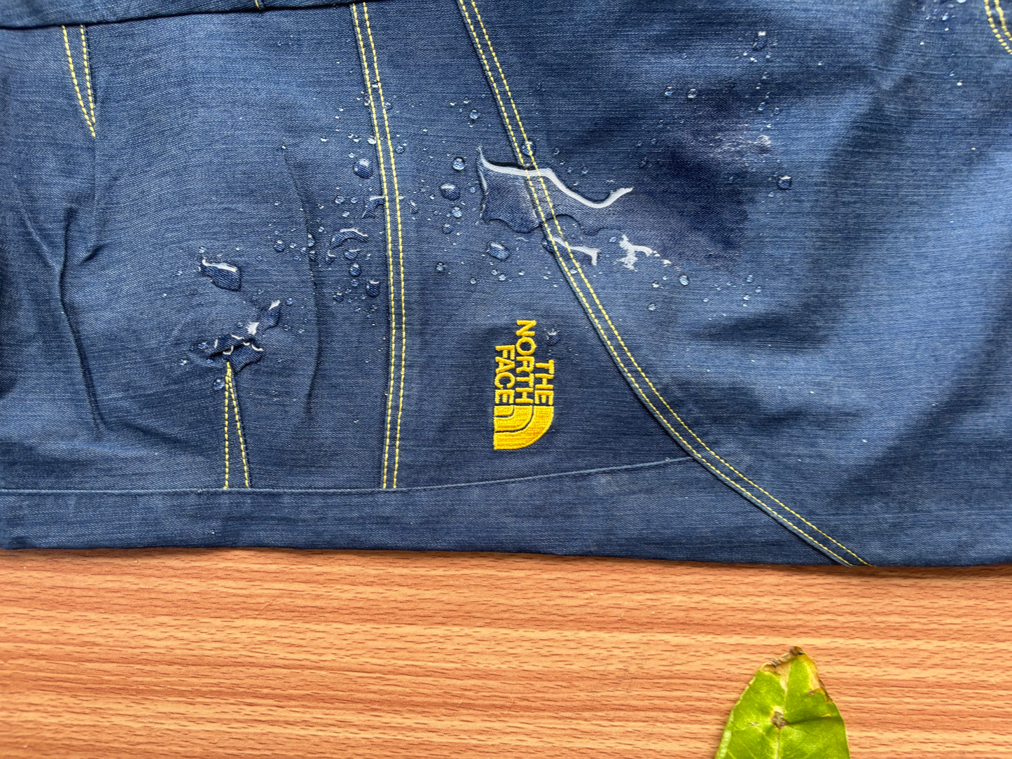 TNF Dyno series pants