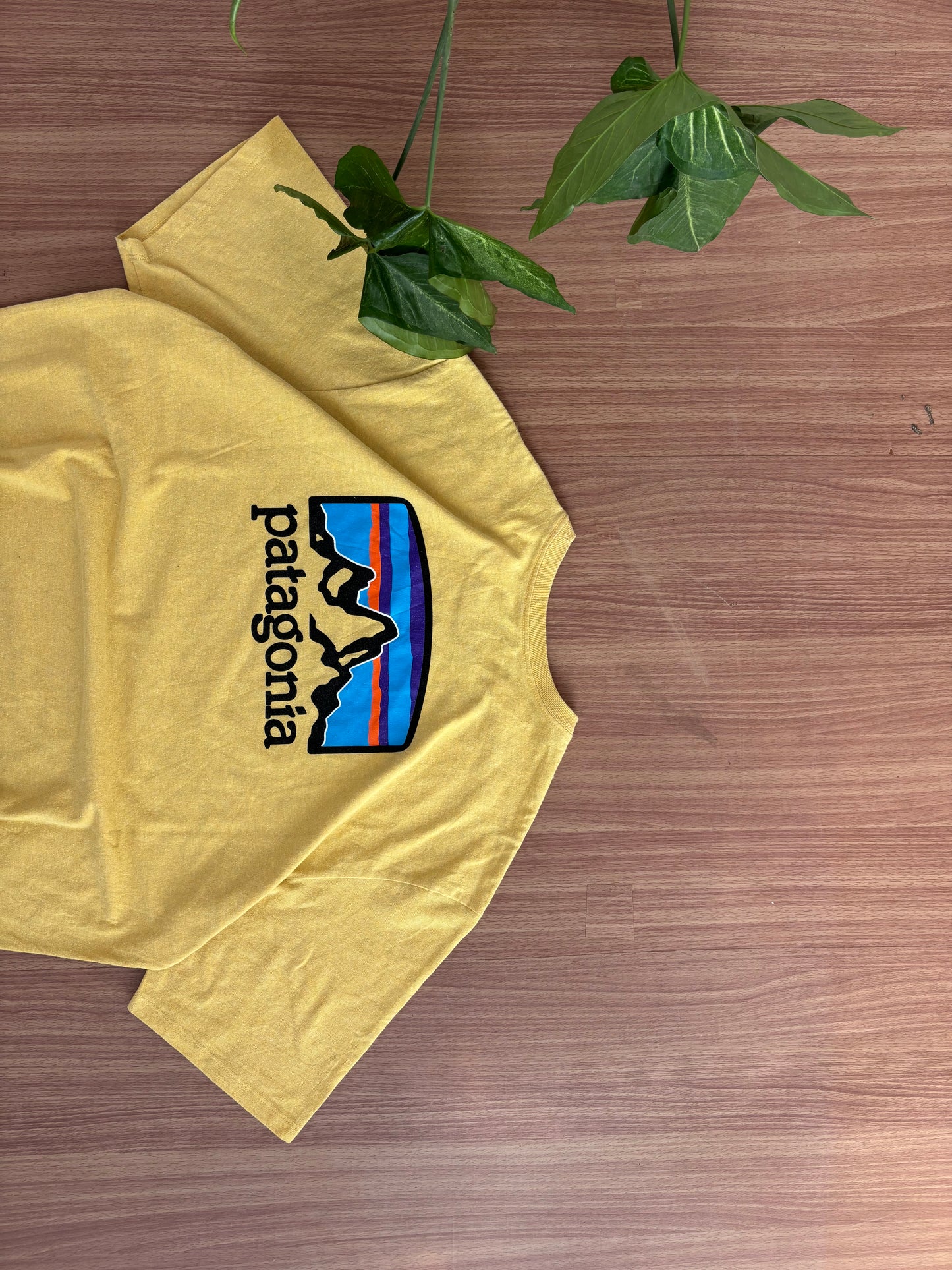 Patagonia tee