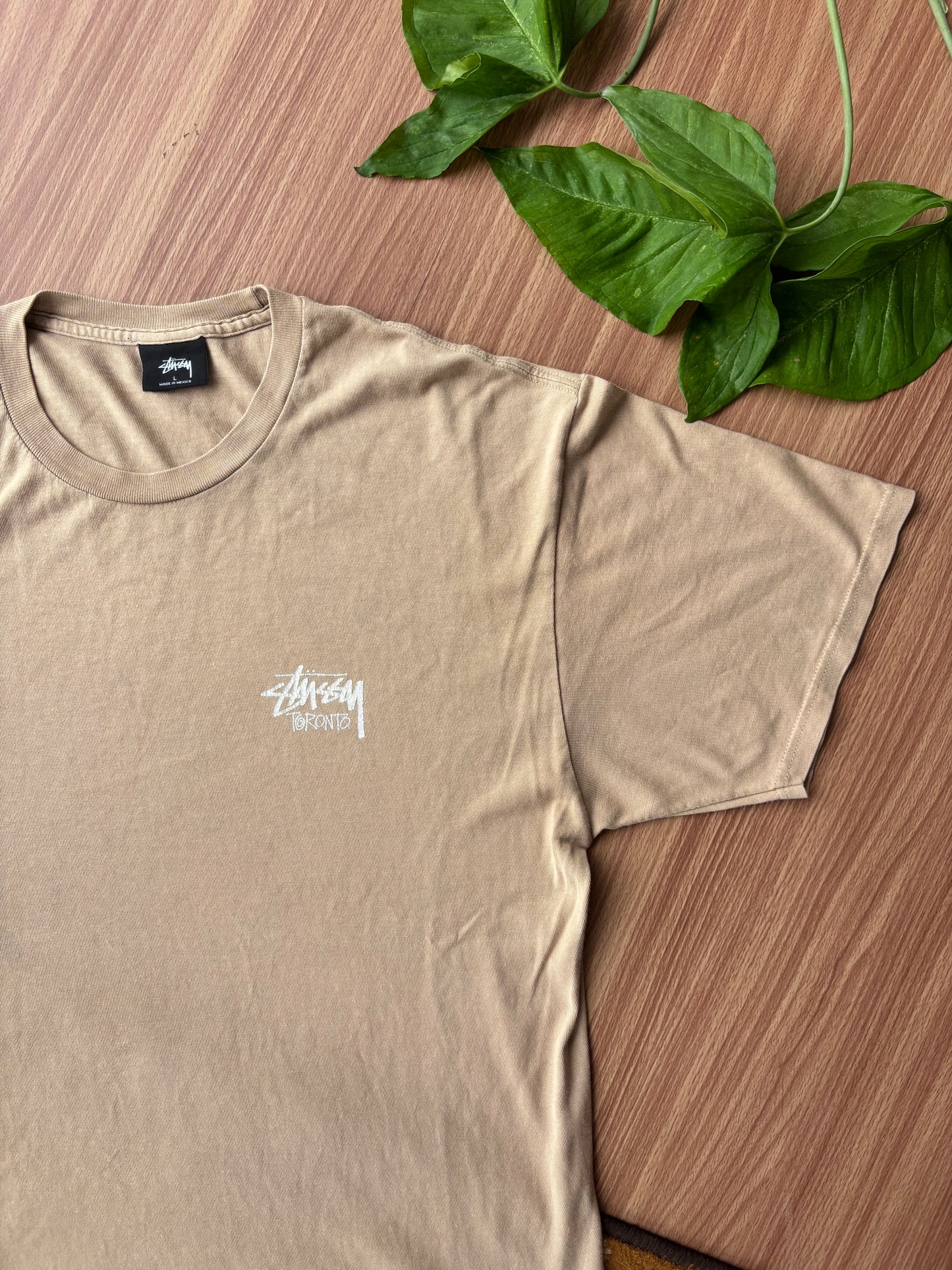 Stussy Toronto Tee