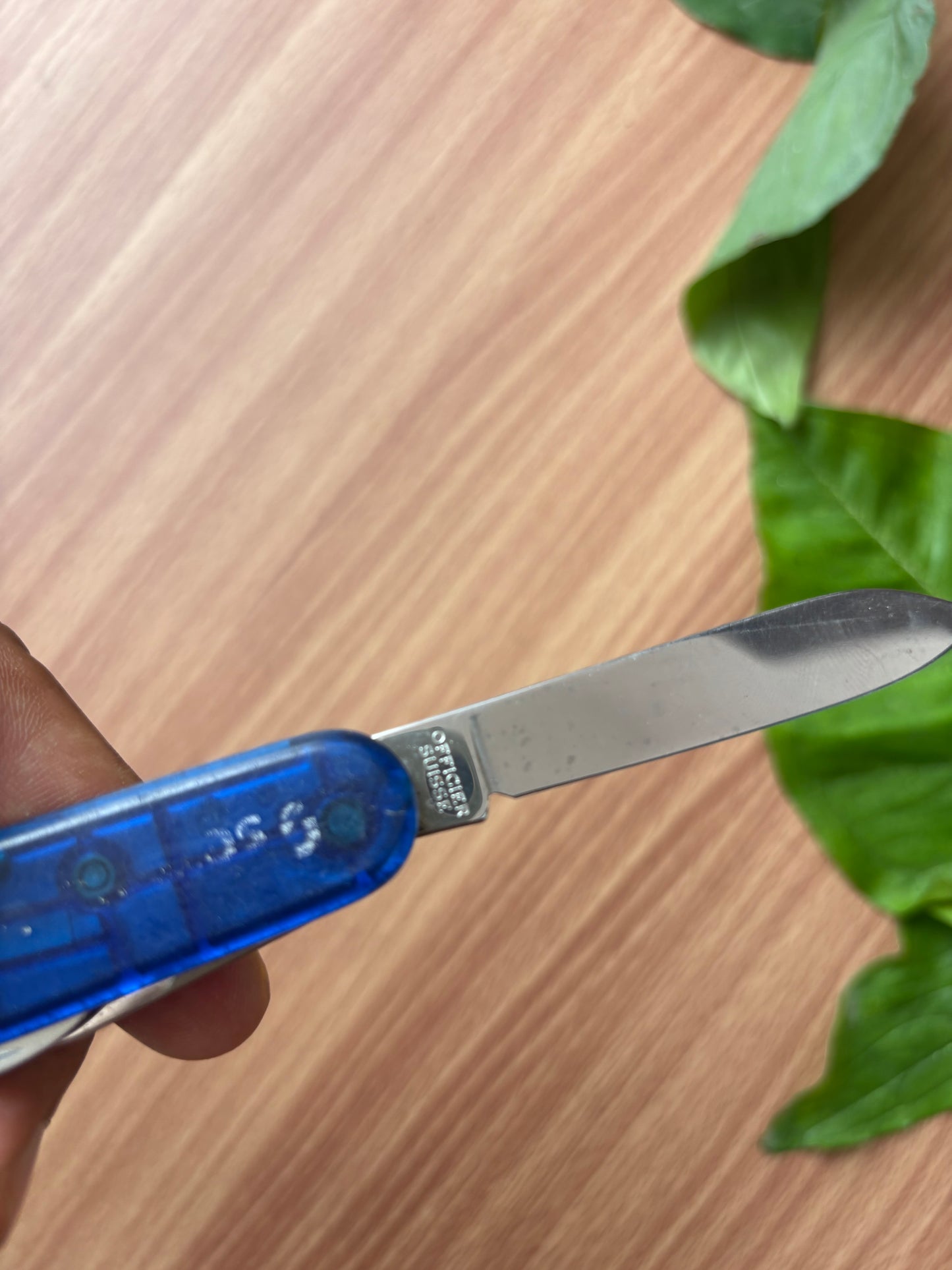 Victorinox Spartan og knife