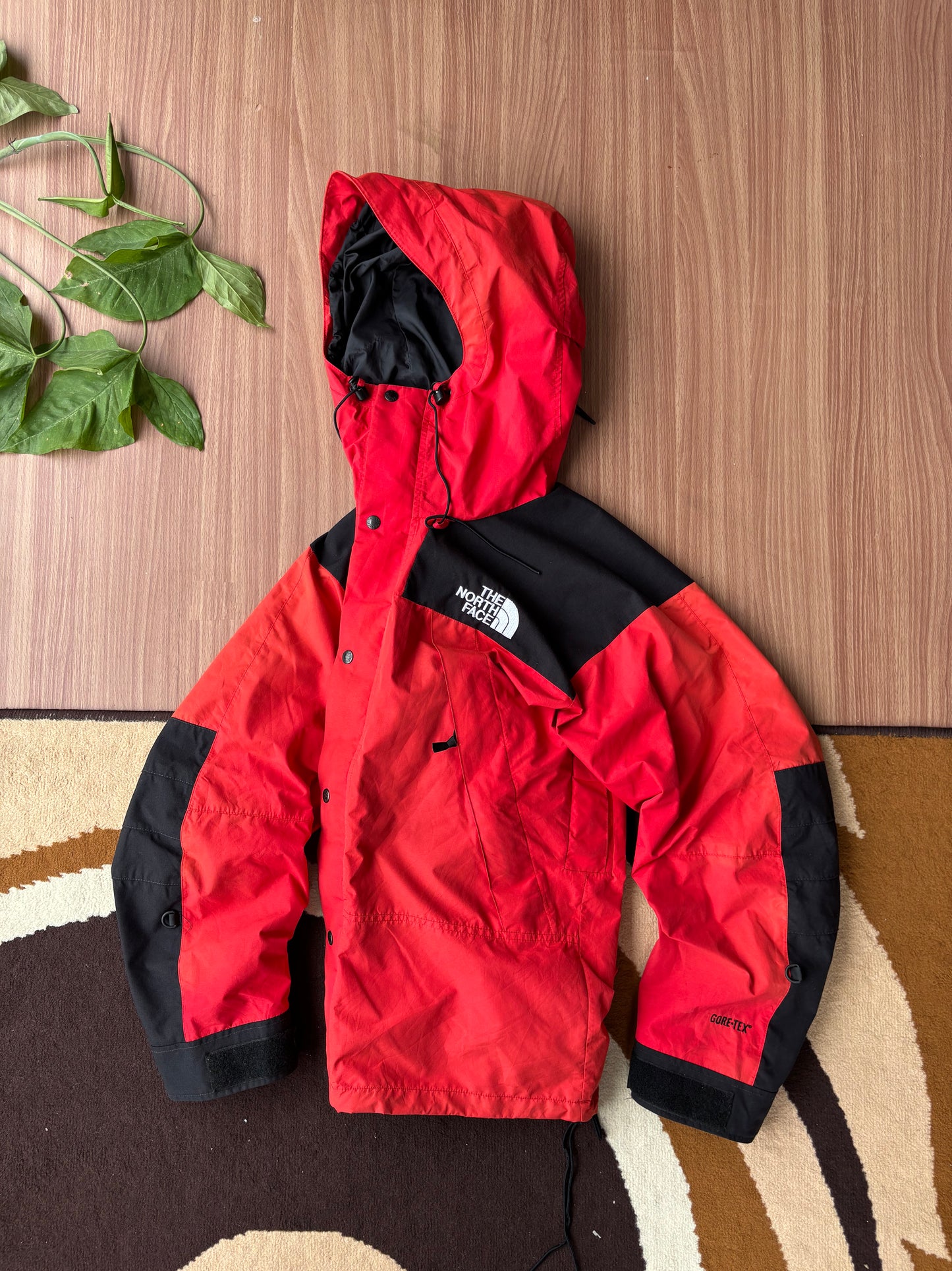 TNF Mountain jacket
