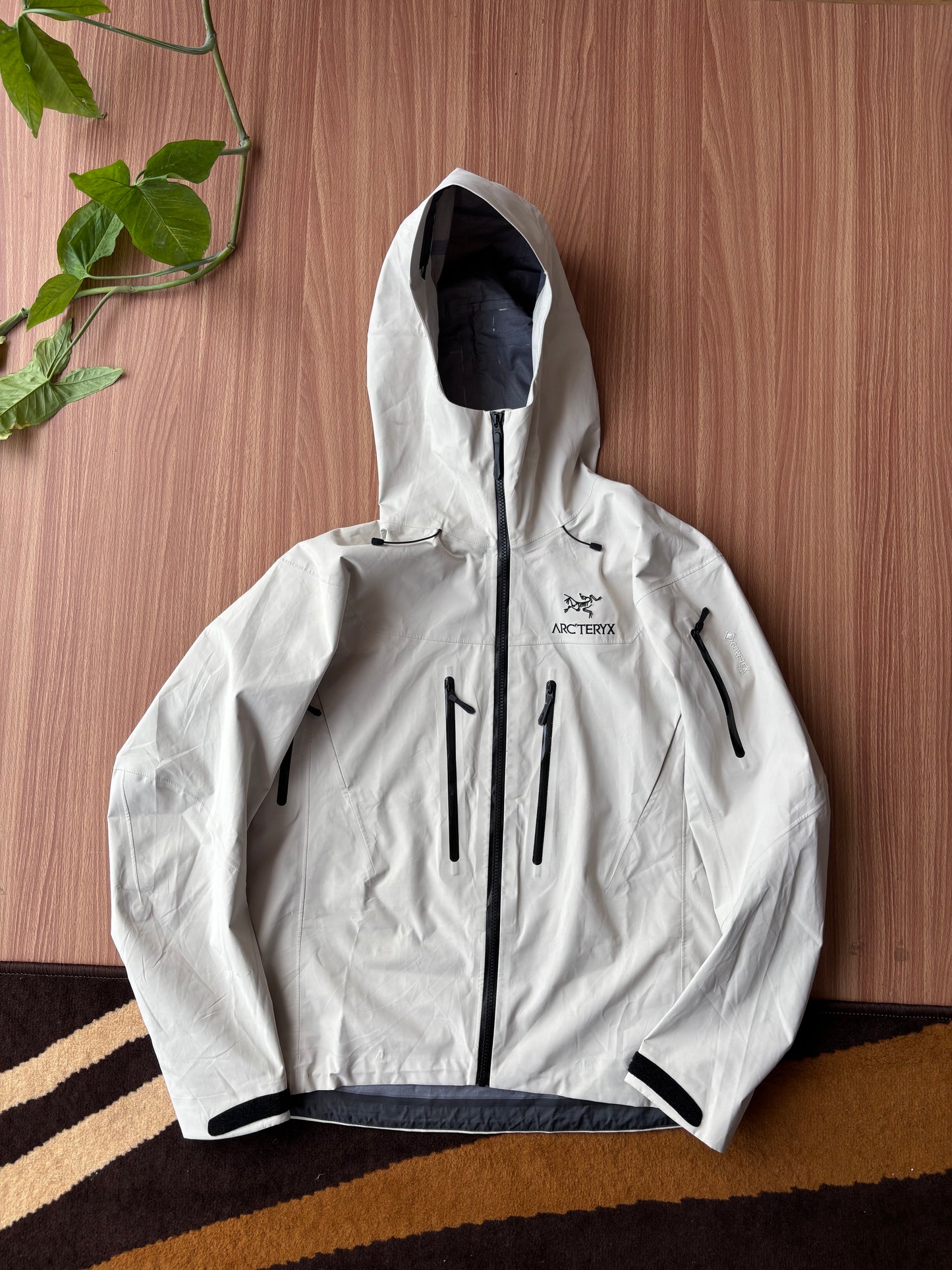 Arcteryx alpha AR