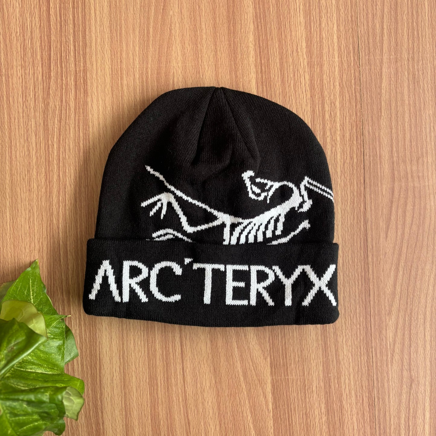 Arcteryx spell-out beanie
