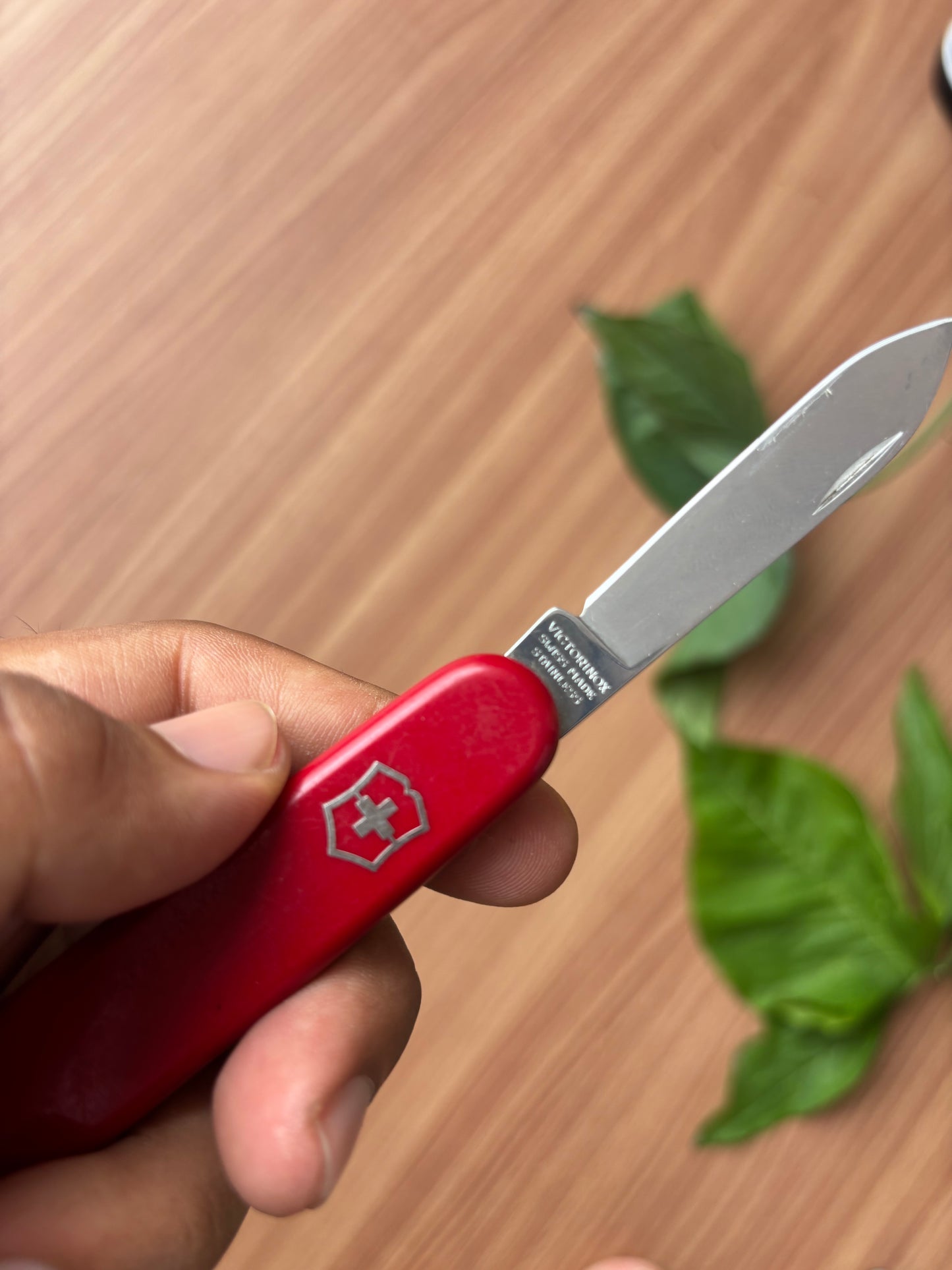 Victorinox Waiter OG knife