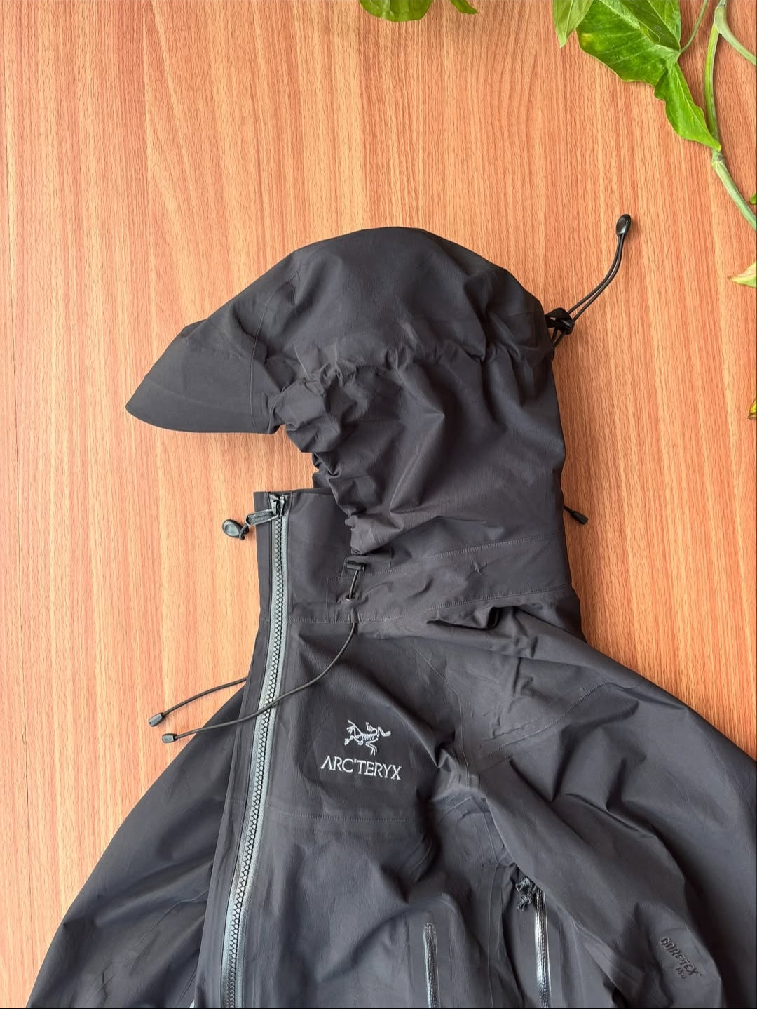 Arcteryx Beta AR