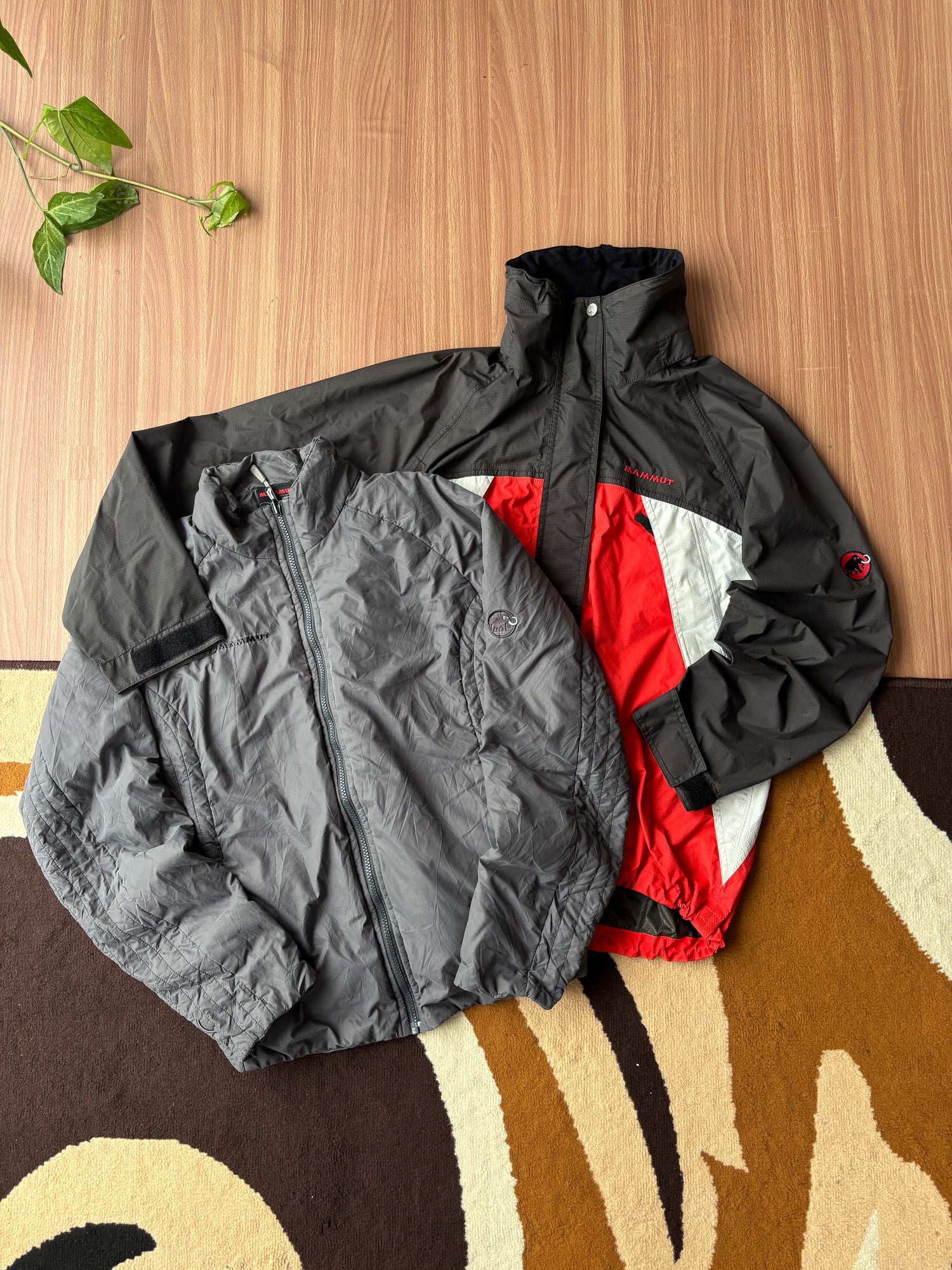 Mammut