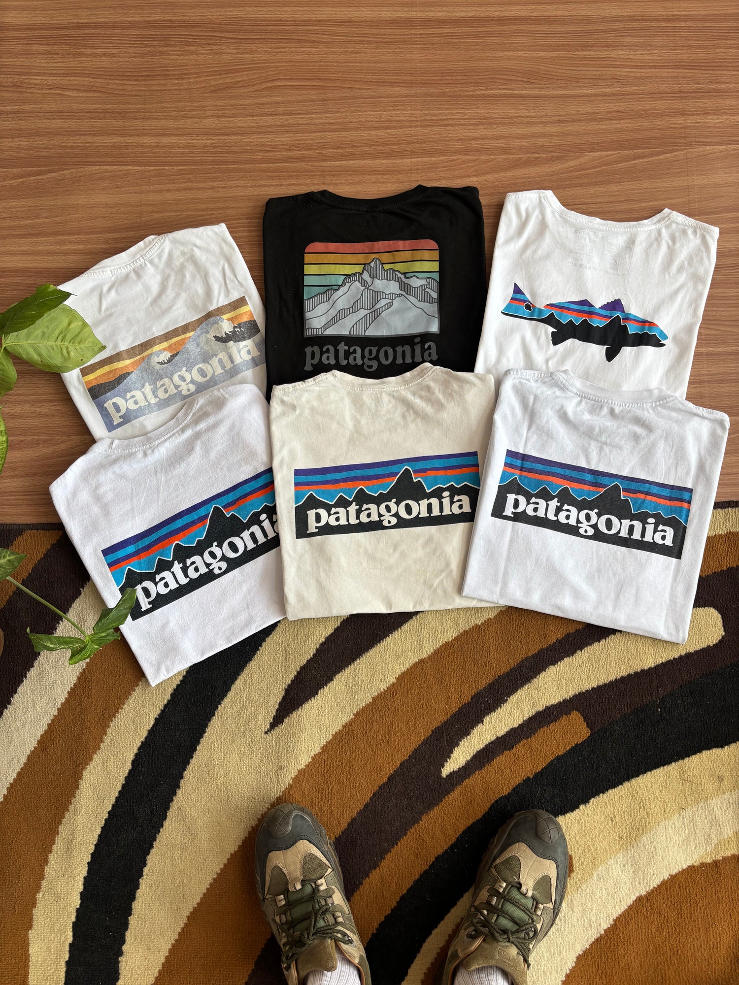 Summer Gear