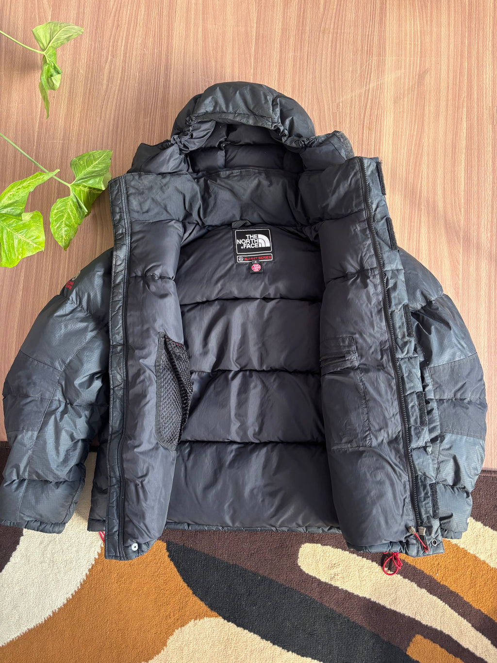 the north face summit series baltoro 700 down jacket