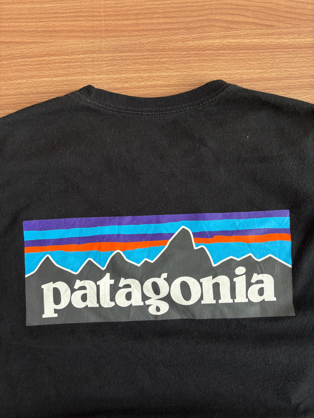 patagonia tee (M)