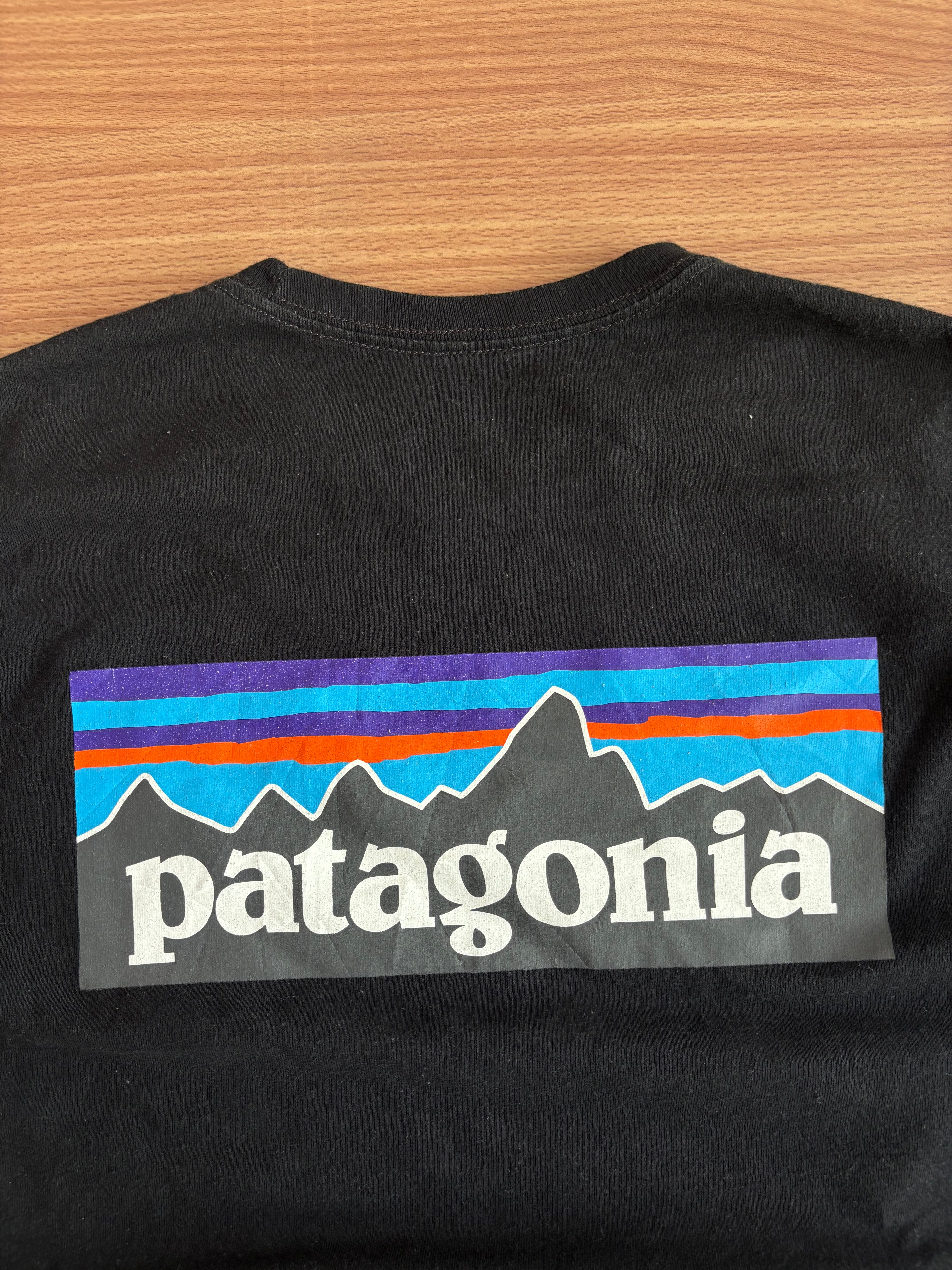patagonia tee (M)
