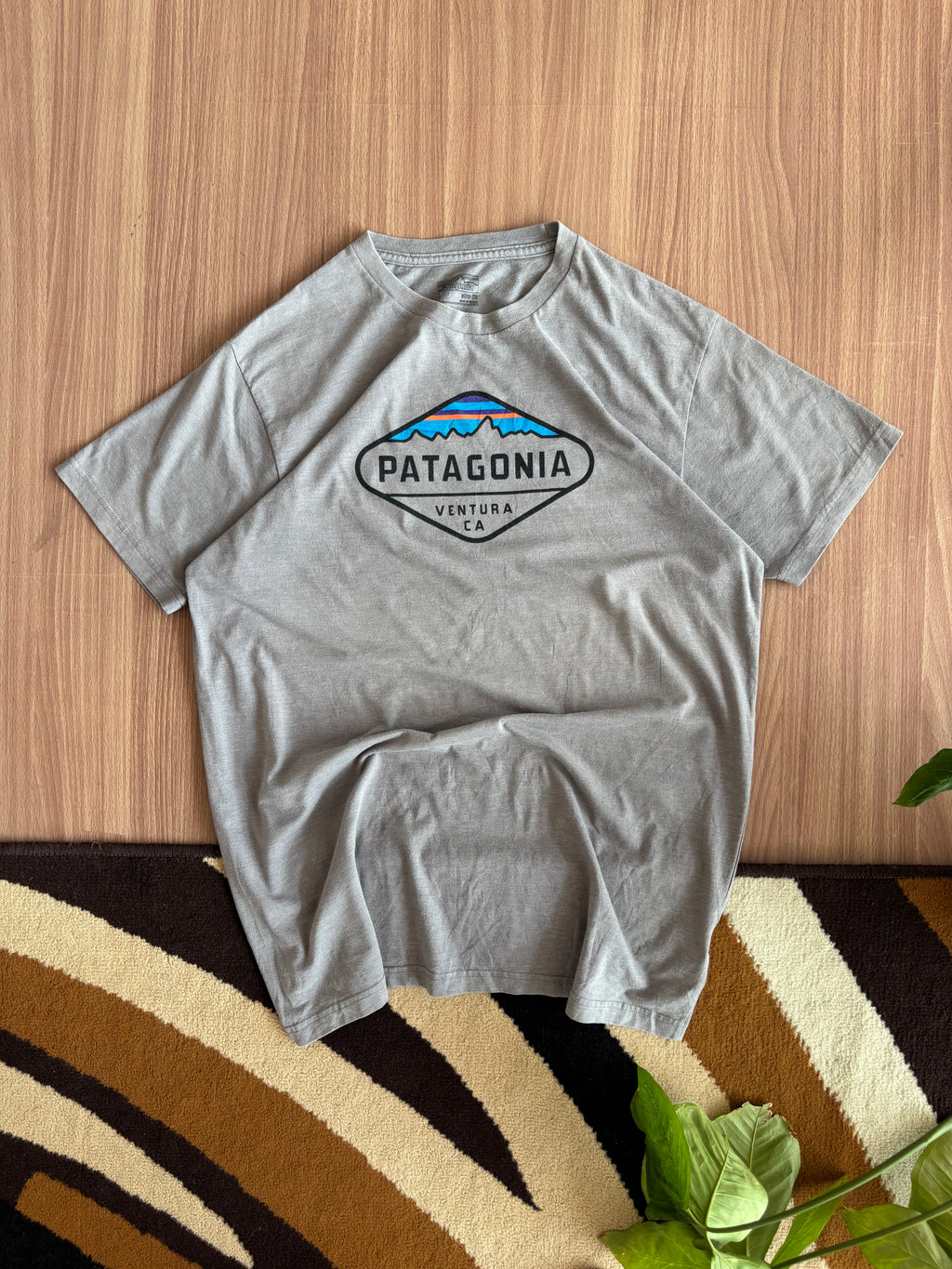 Patagonia tee