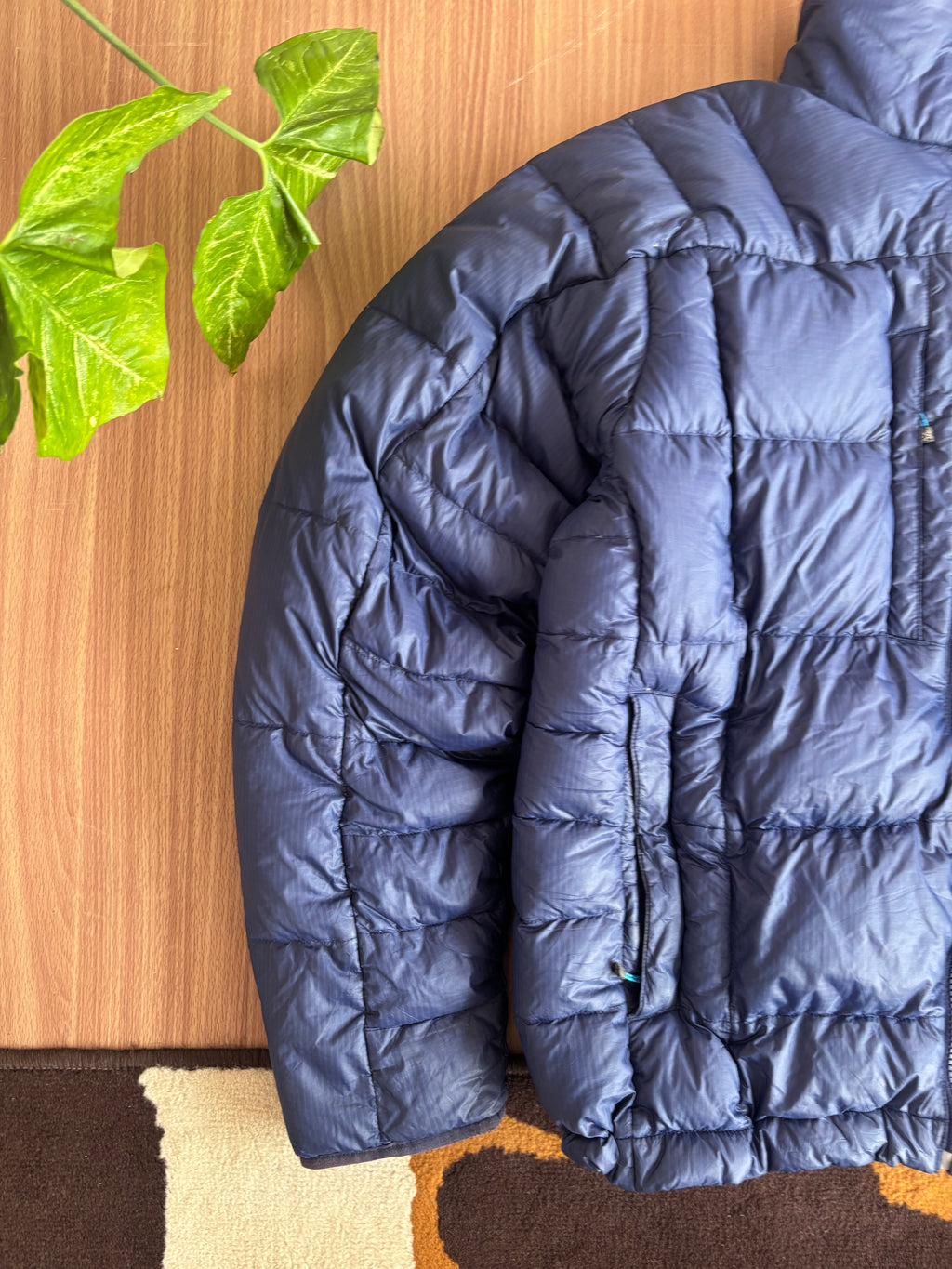 TNF summit series goose down puffer (M-L)