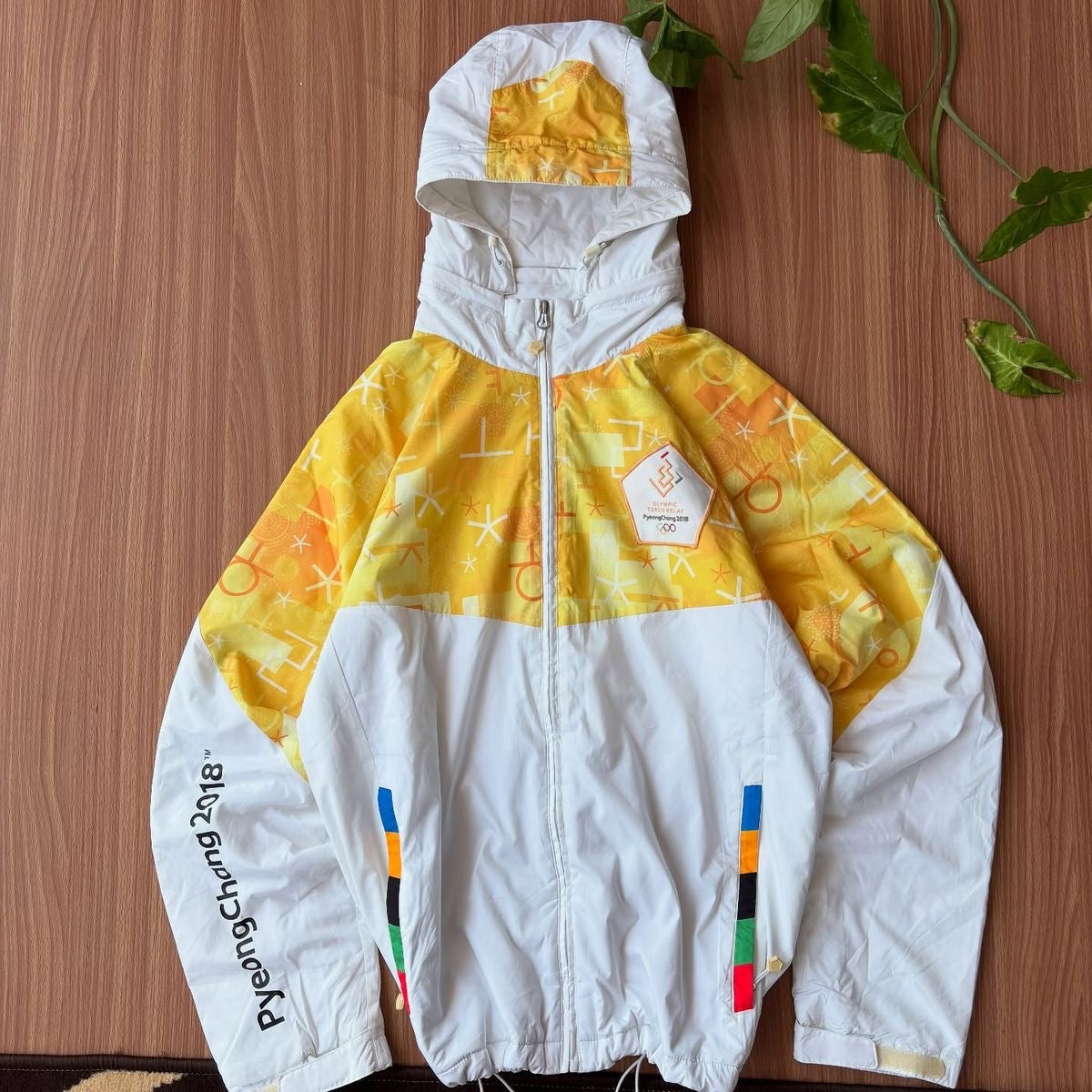 TNF PYEONGCHENG Olympic Torch Relay team gear