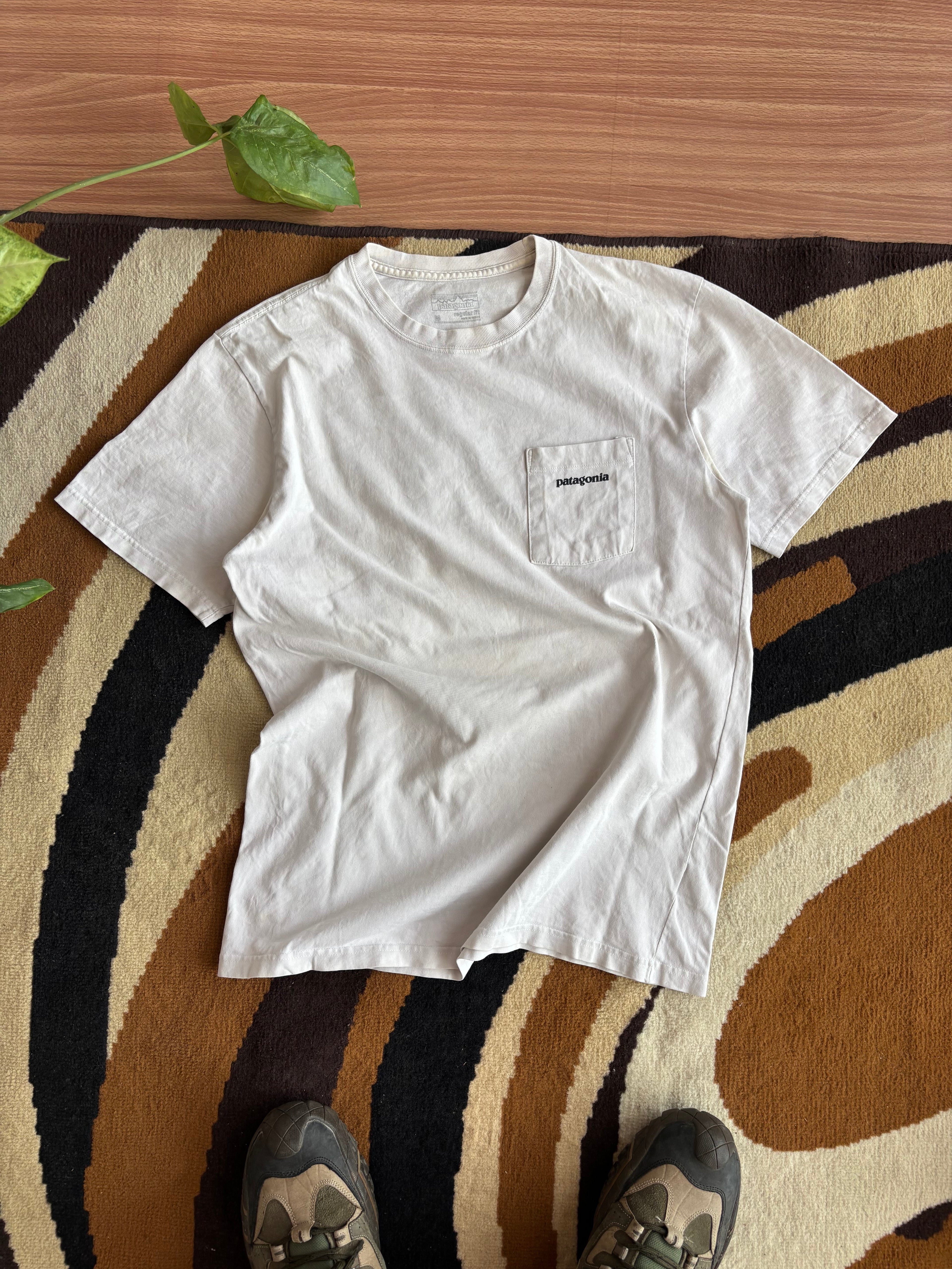 Patagonia tee