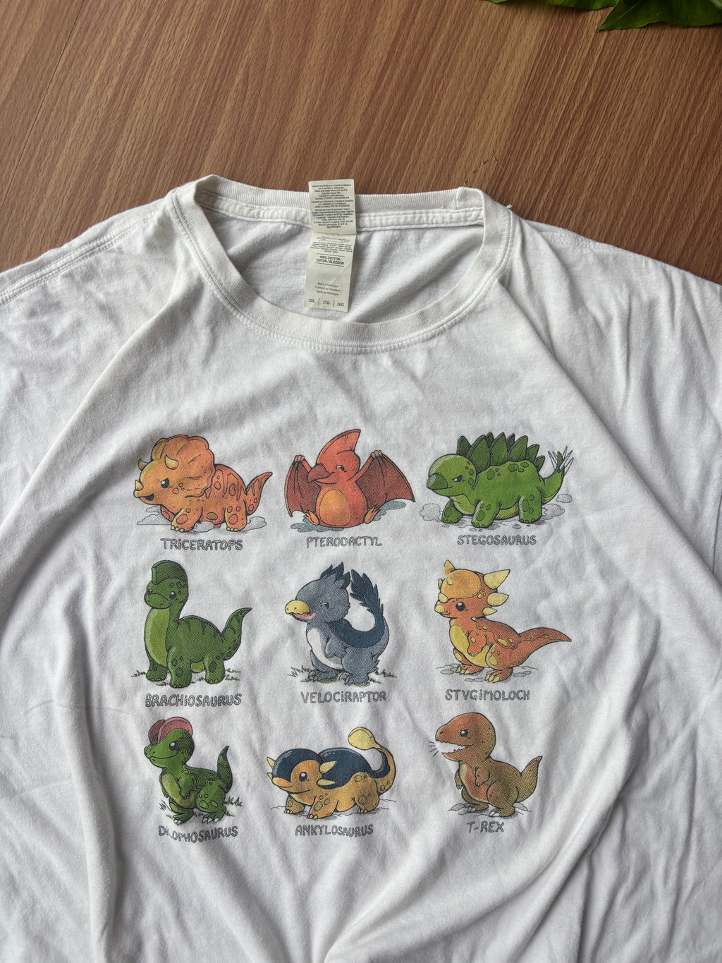 Gildan dinosaur tee