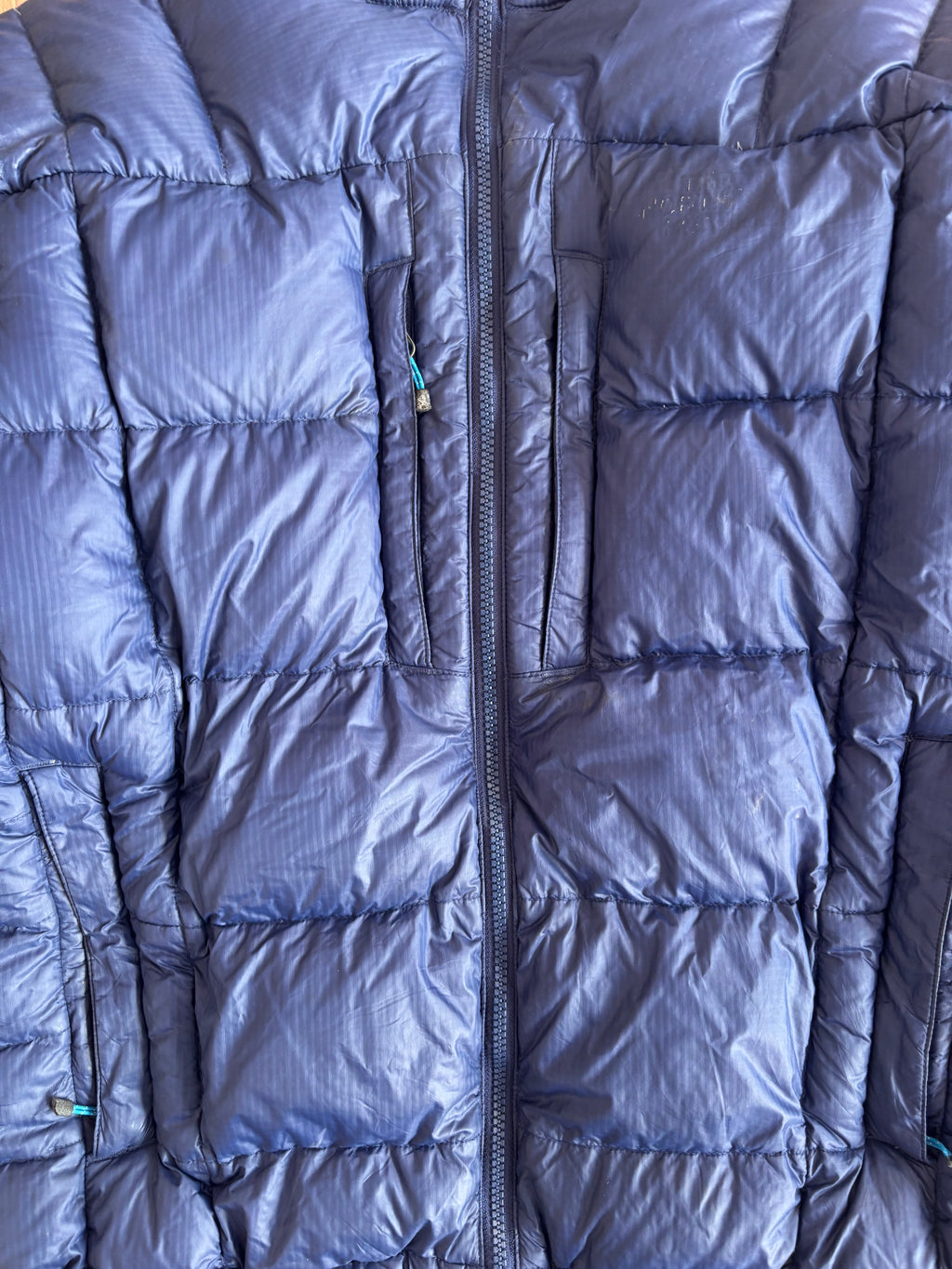 TNF summit series goose down puffer (M-L)