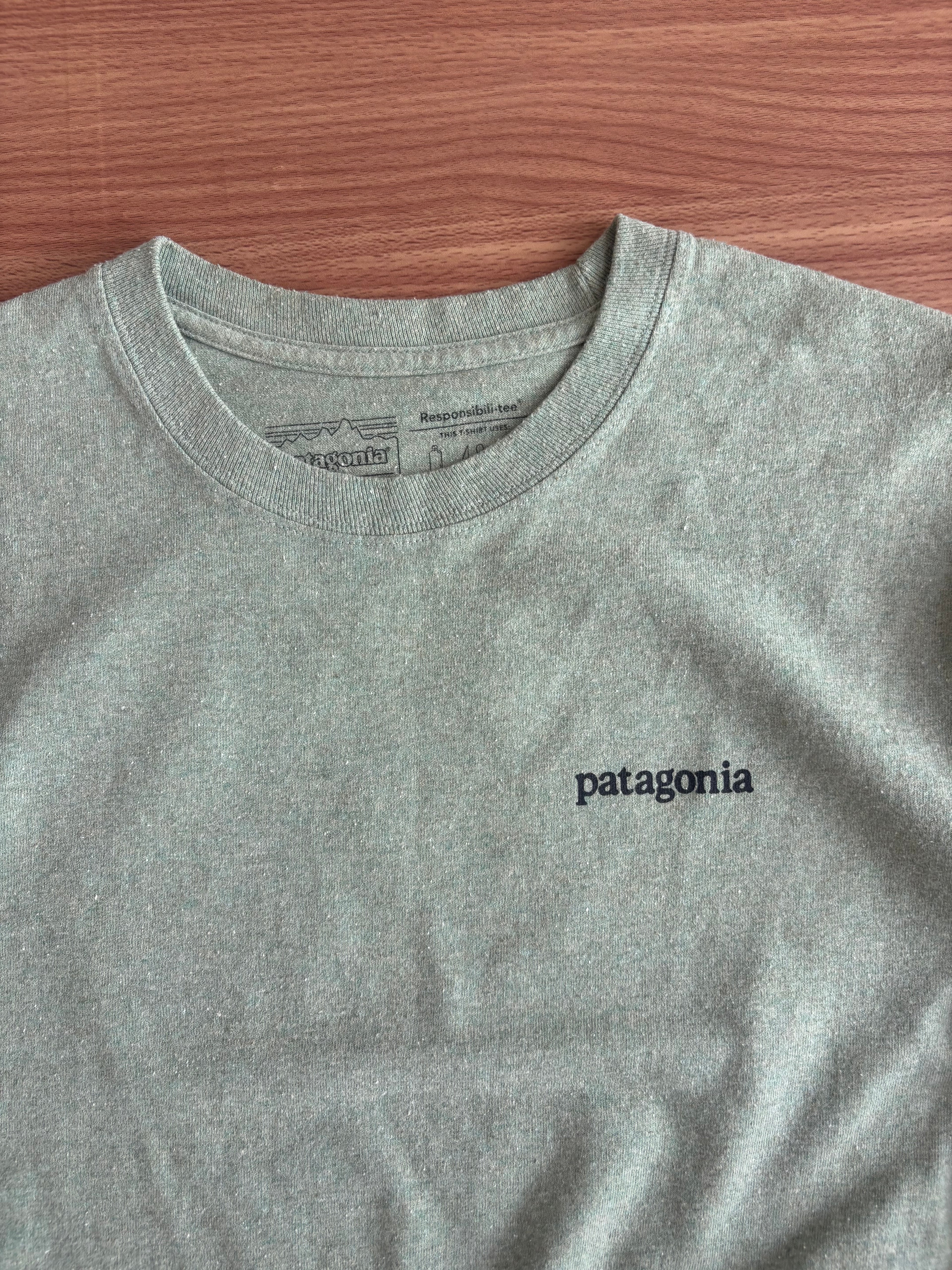 Patagonia full sleeve tee (M-L)