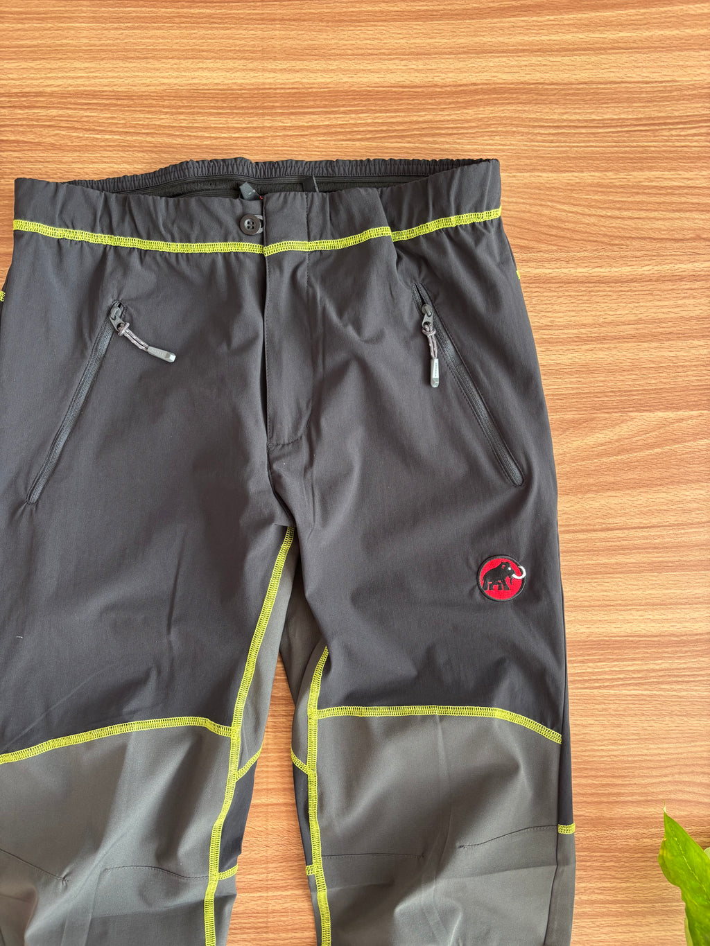 Mammut climbing pants
