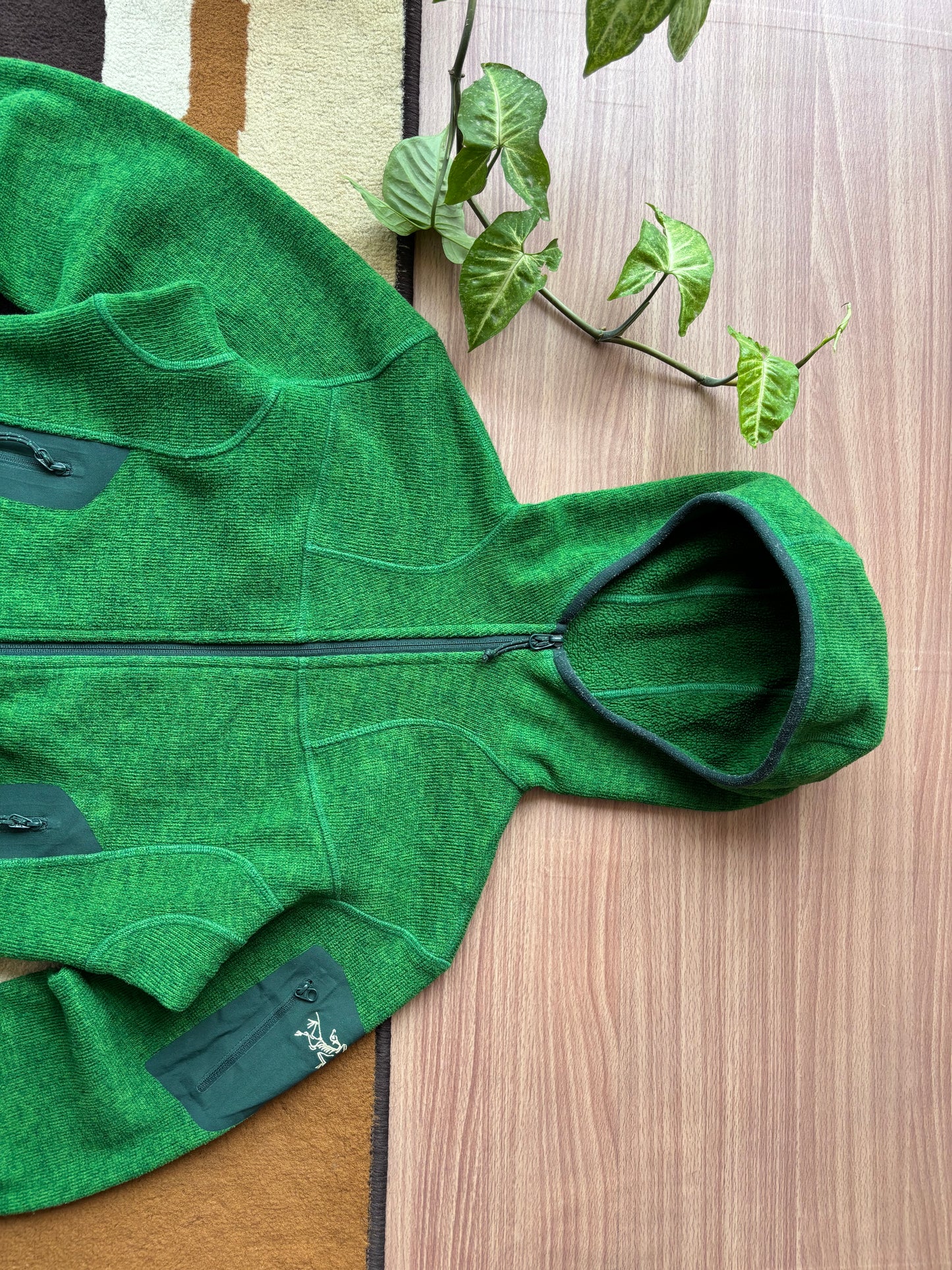 Arc'teryx Hooded Fleece