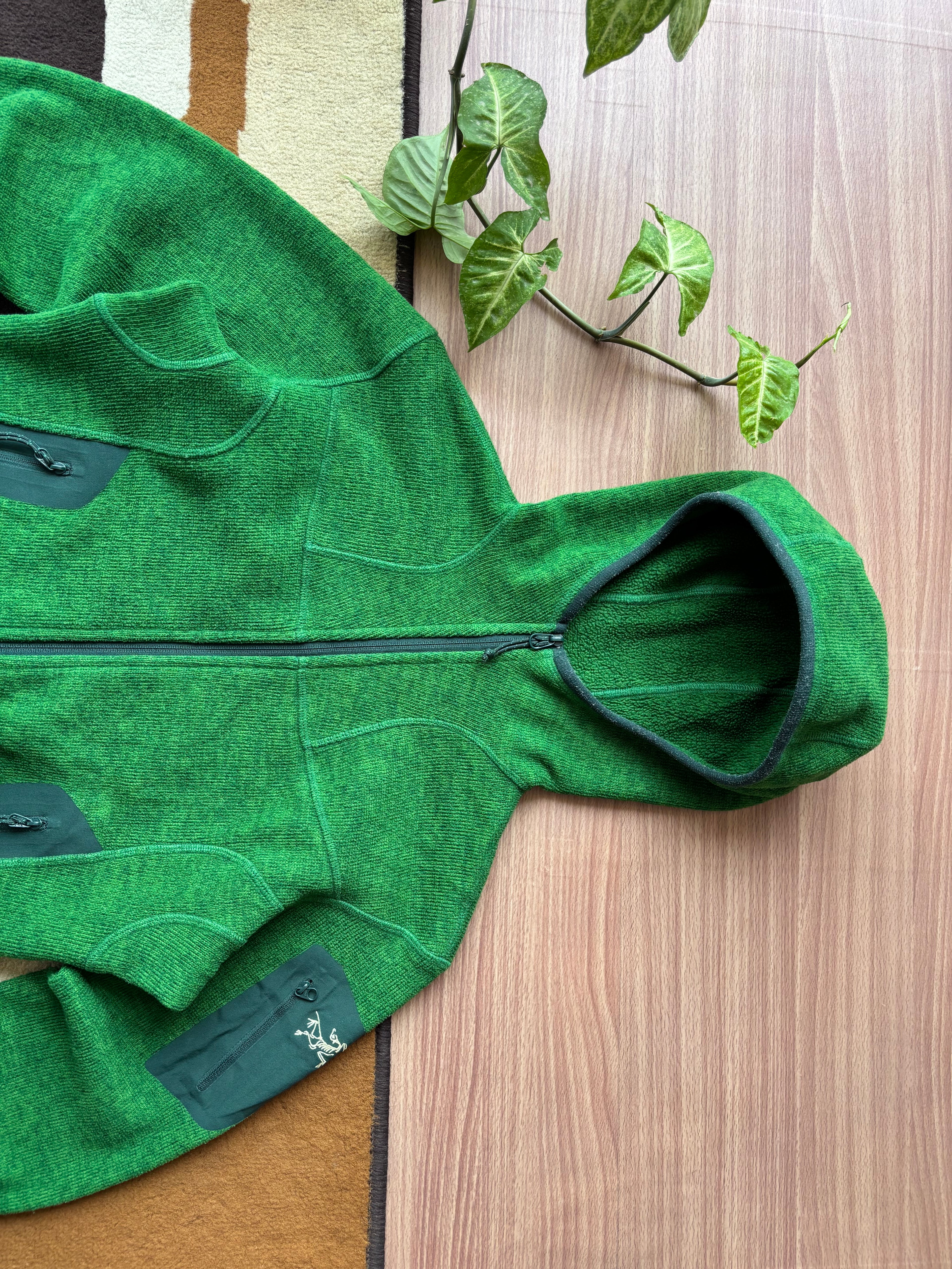 Arc'teryx Hooded Fleece
