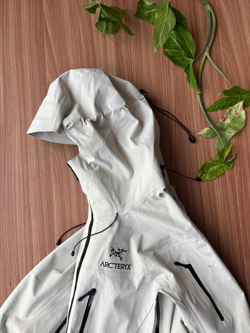 Arcteryx alpha AR