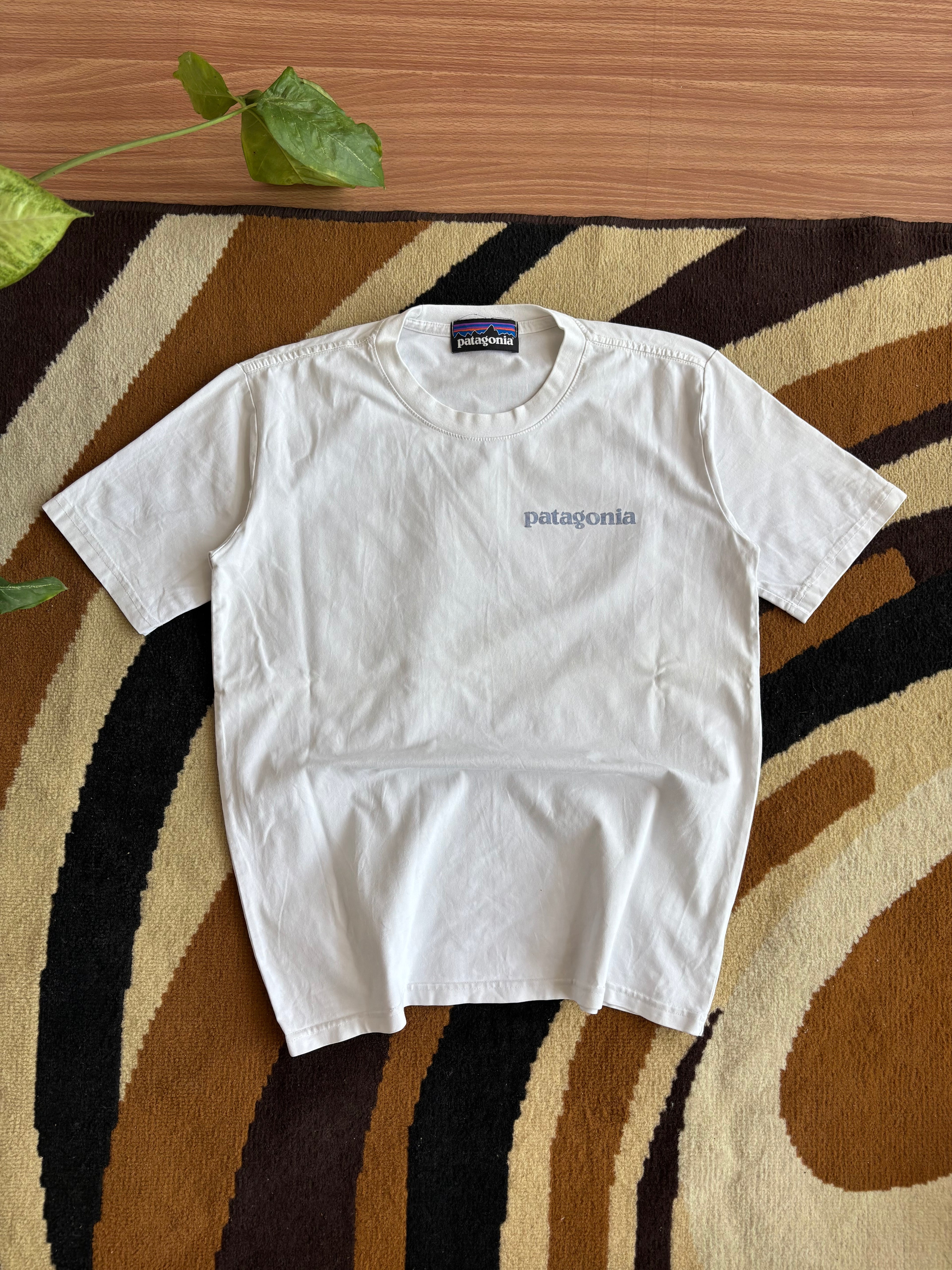 Patagonia waves tee