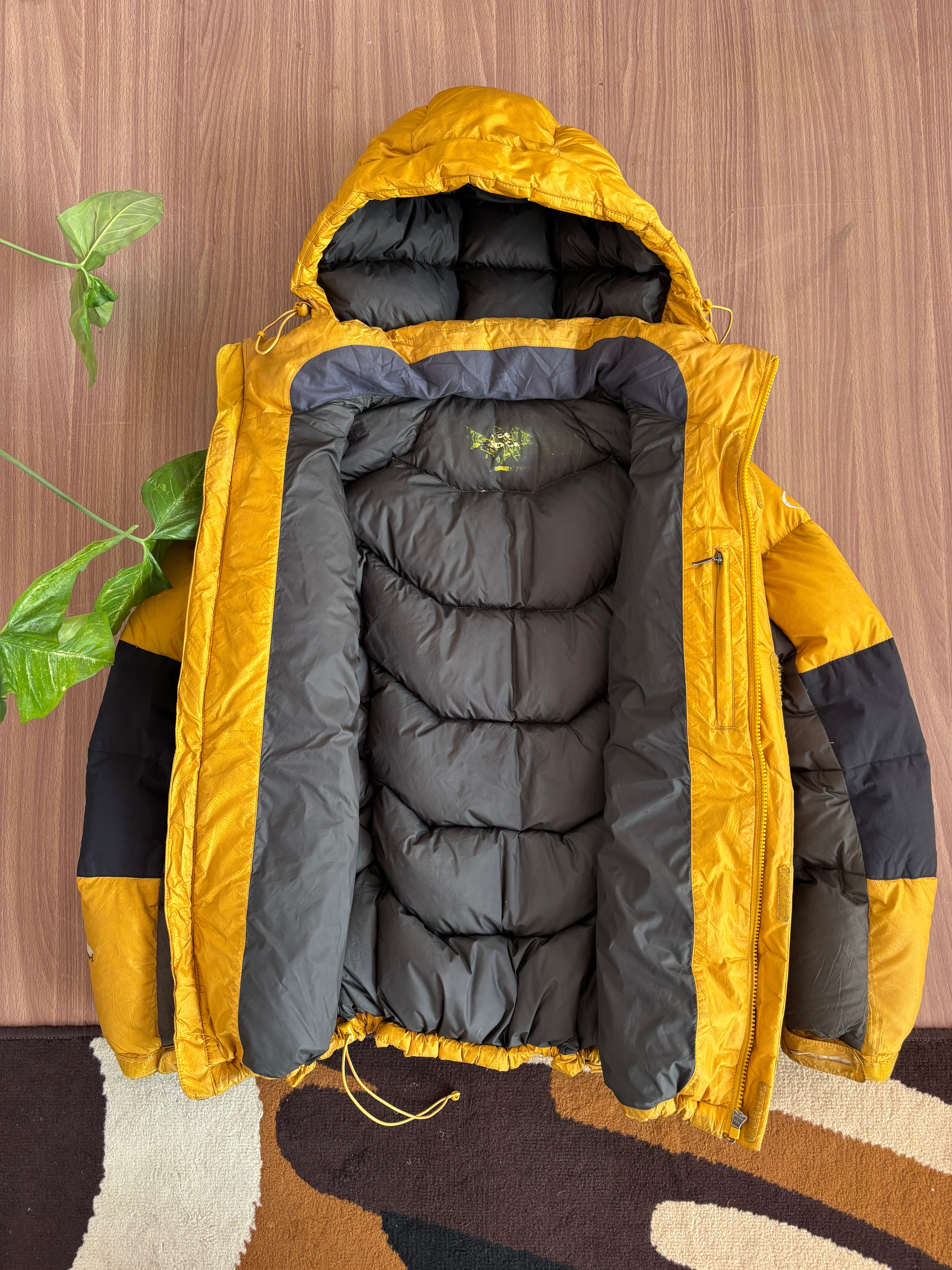 Eider Goose down puffer