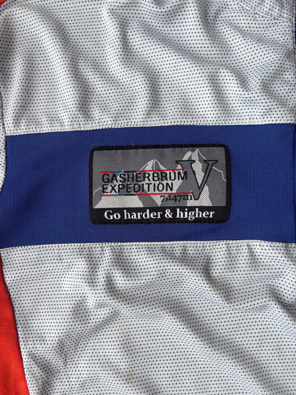 Millet Alpine Team tee (L)