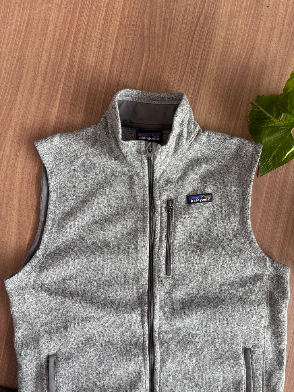 FA 19 Patagonia Fleece Vest