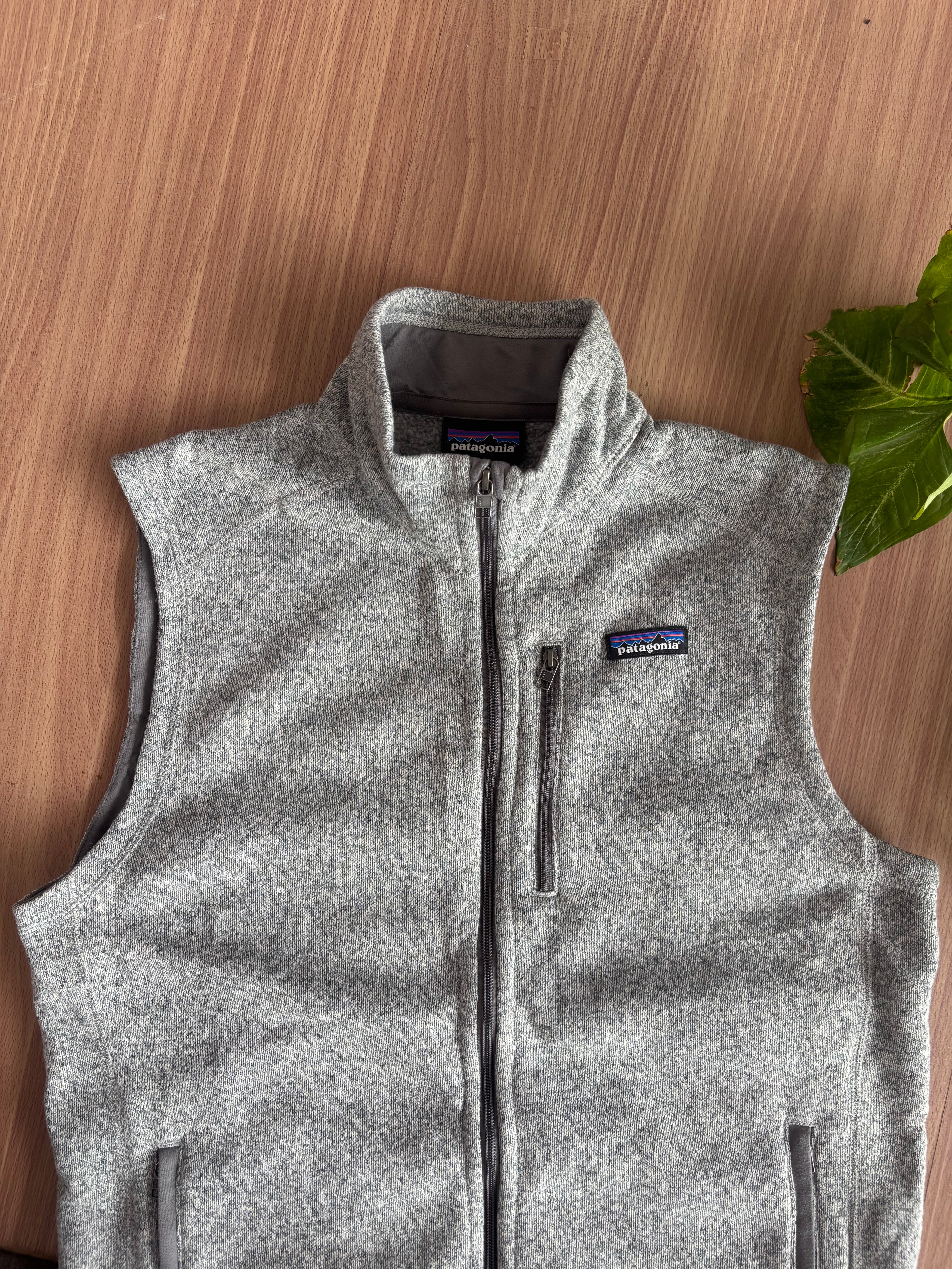 FA 19 Patagonia Fleece Vest