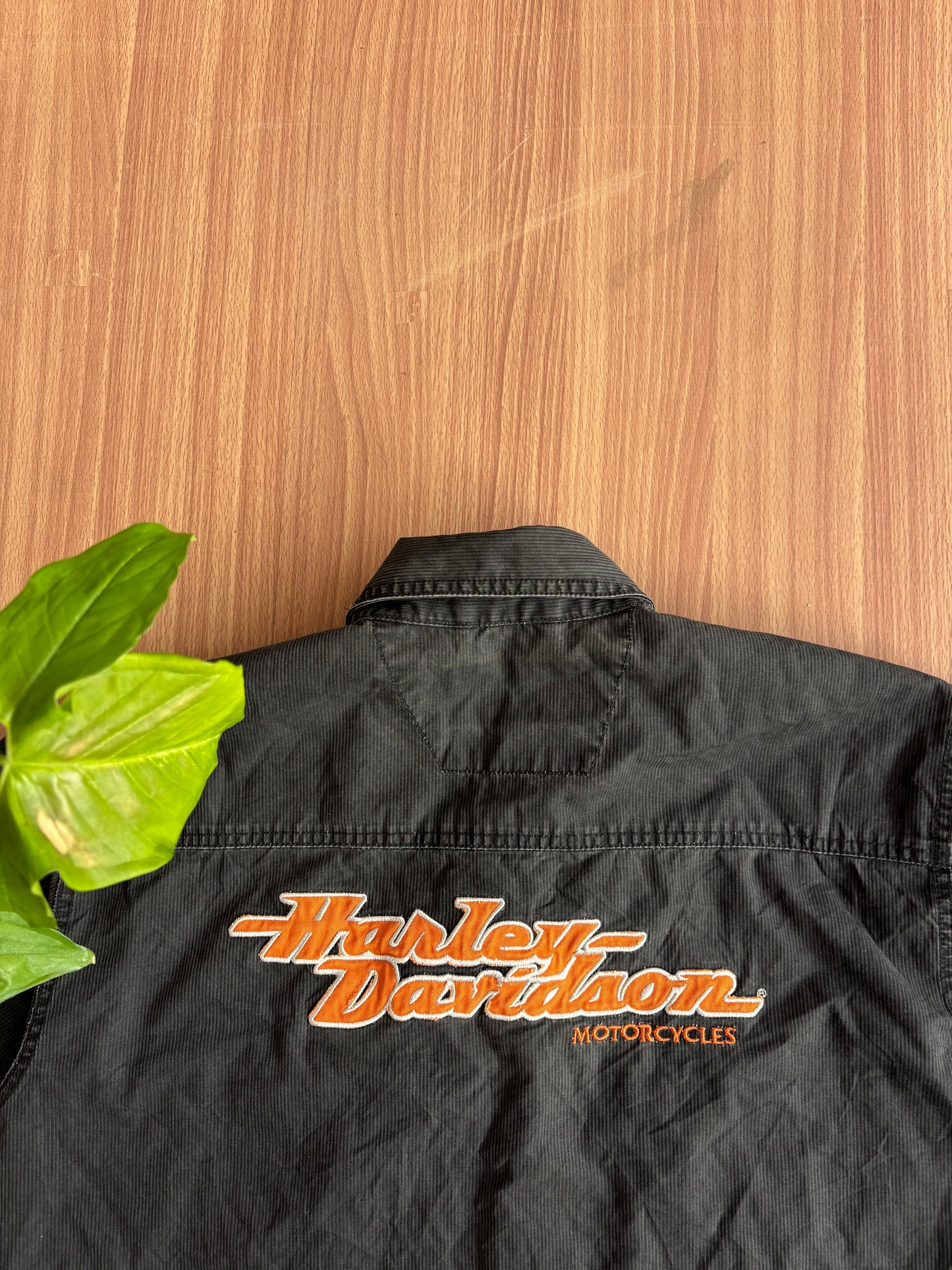 Harley Davison Shirt
