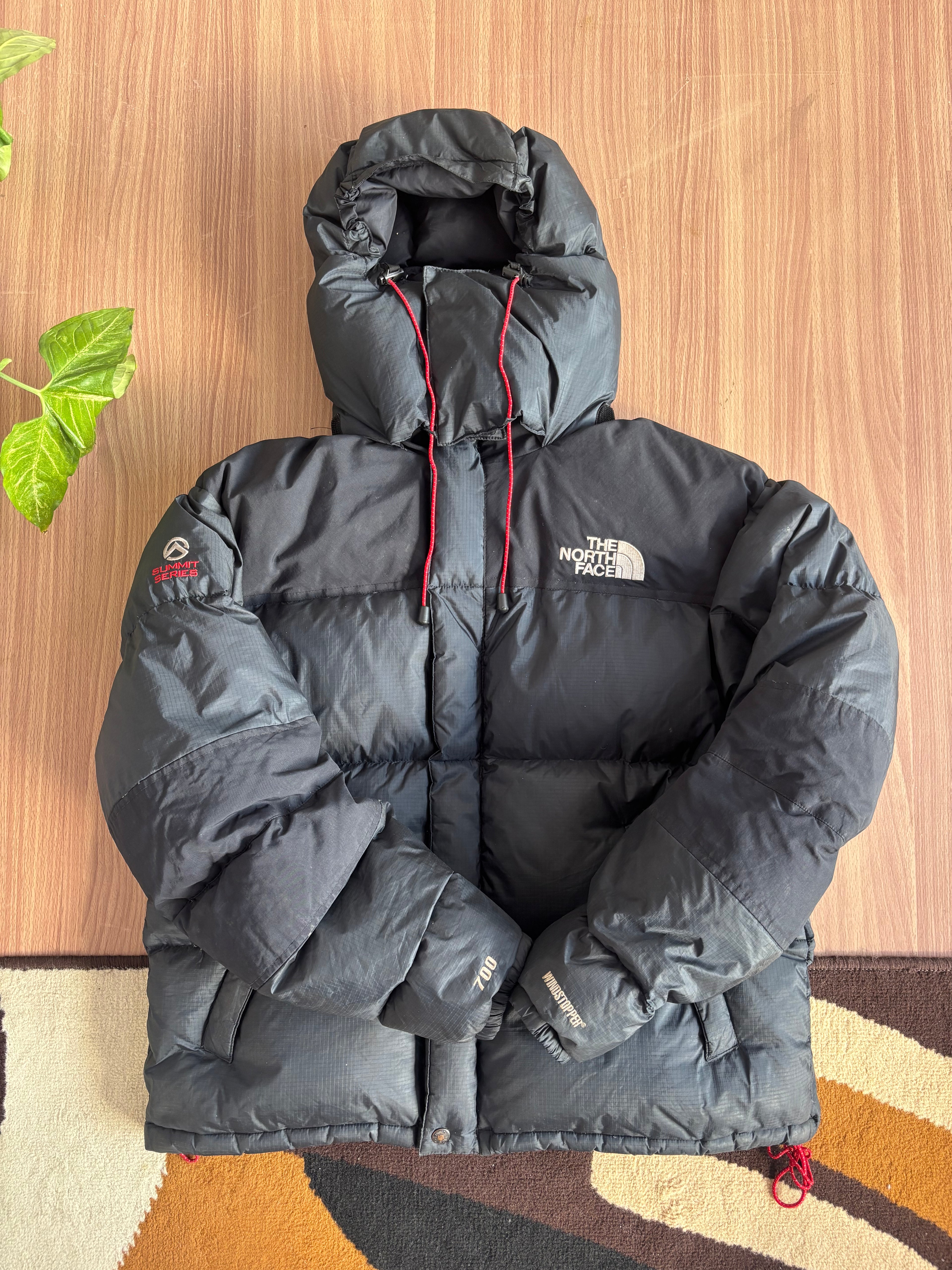 the north face summit series baltoro 700 down jacket