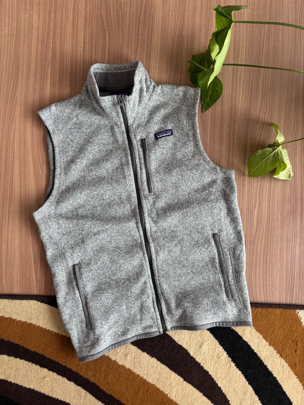 FA 19 Patagonia Fleece Vest