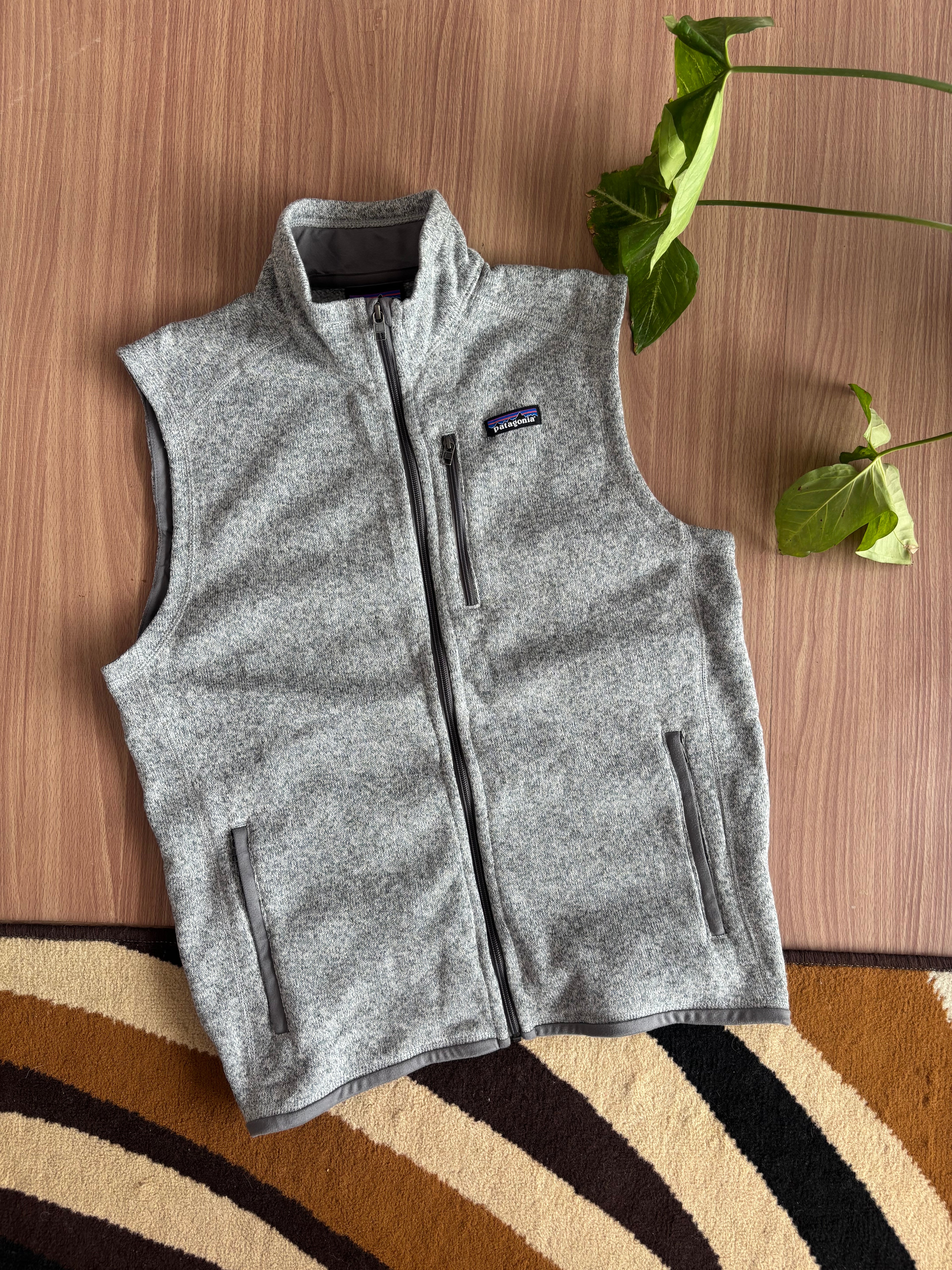 FA 19 Patagonia Fleece Vest
