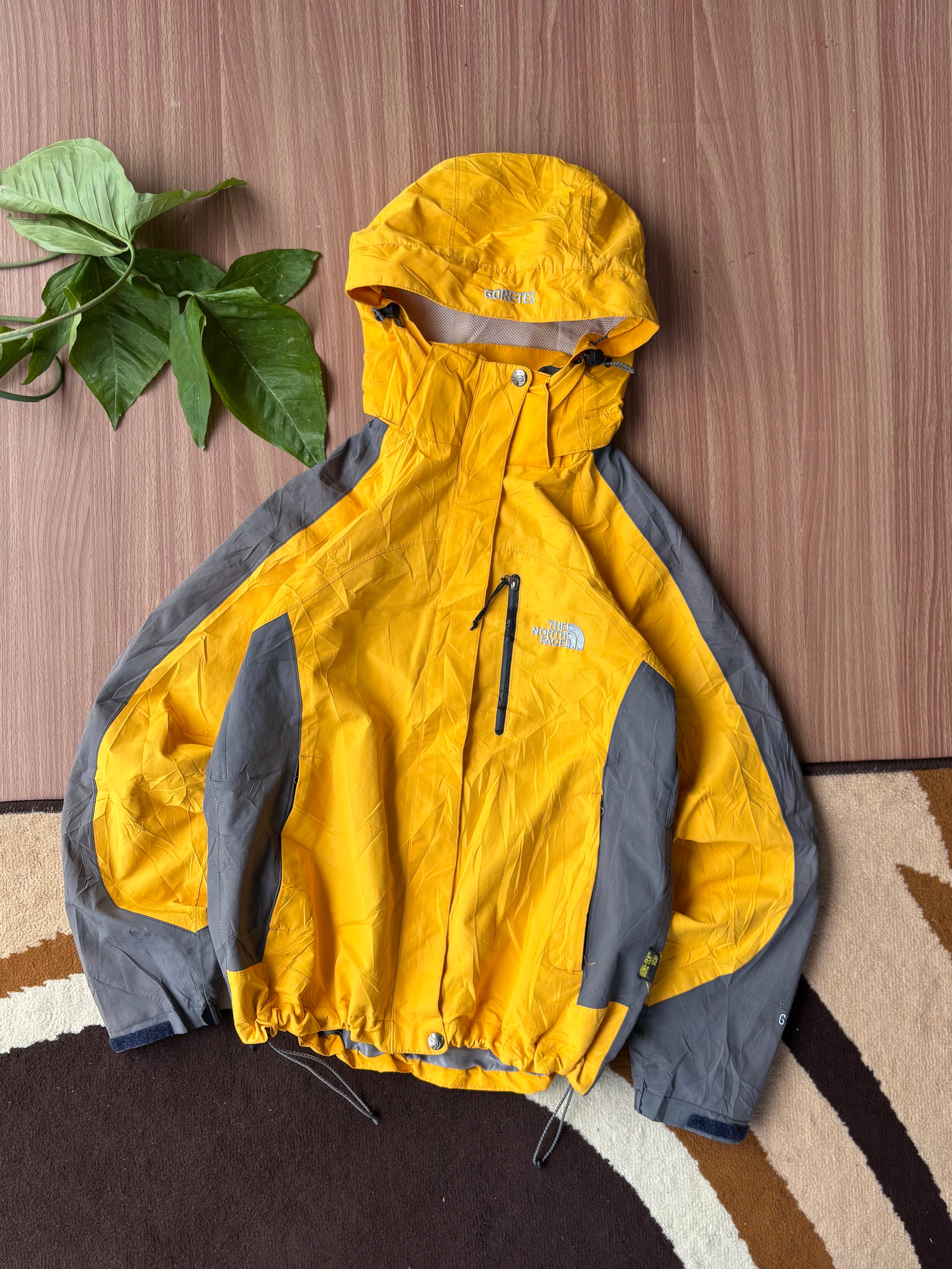 TNF goretex shell