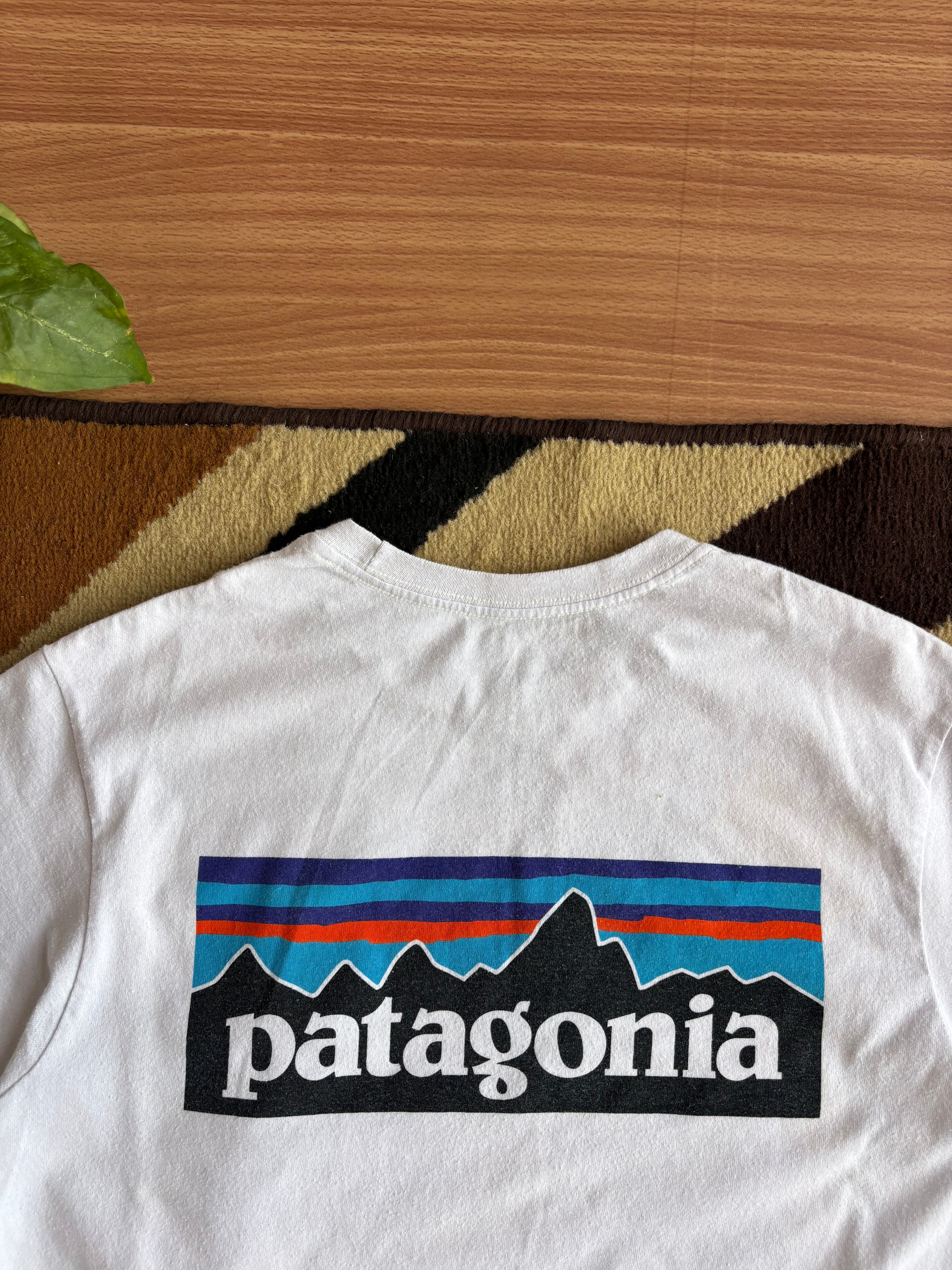 Patagonia tee
