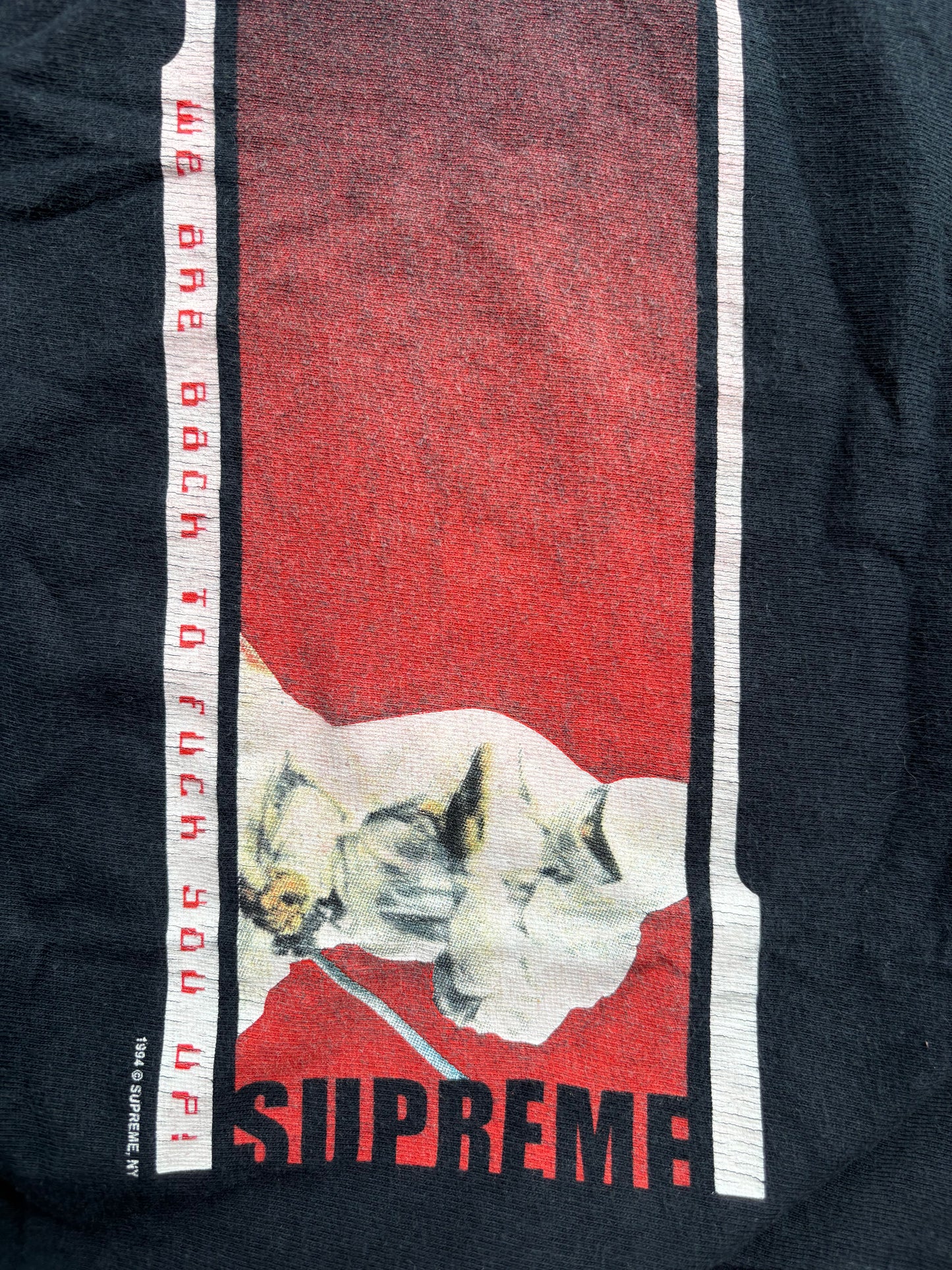 supreme tee FW19 (authentic)