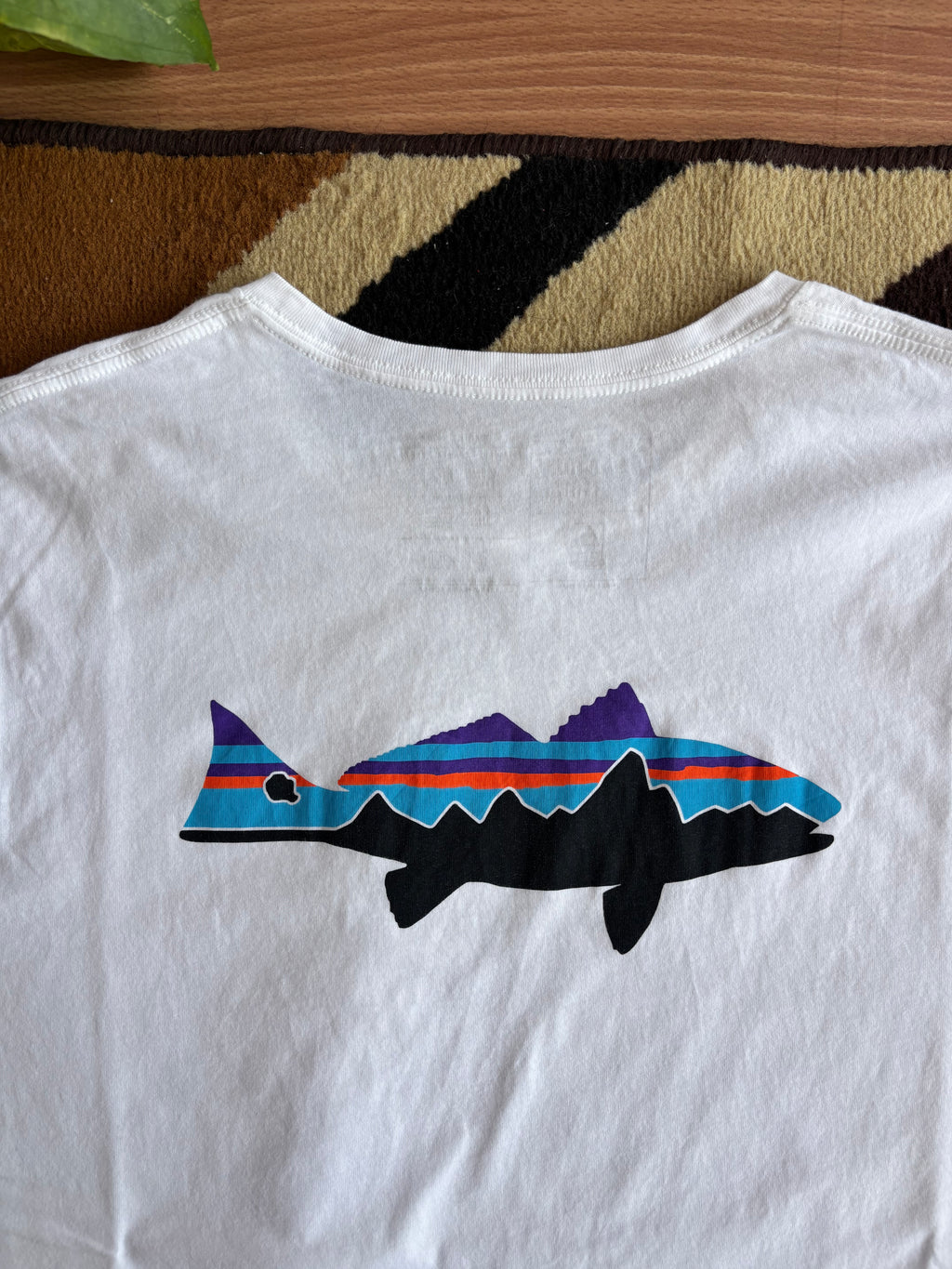 Patagonia tee