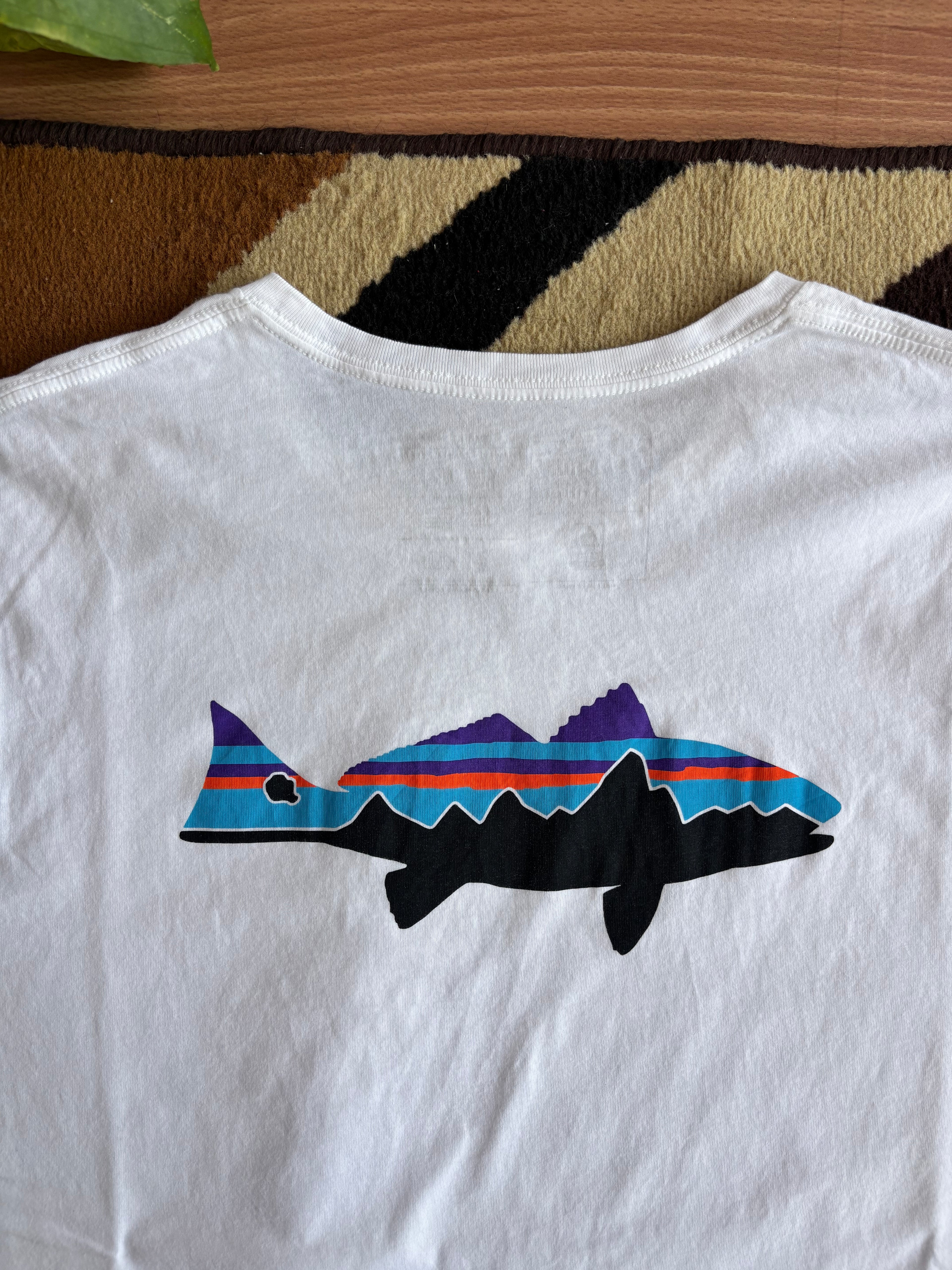 Patagonia tee