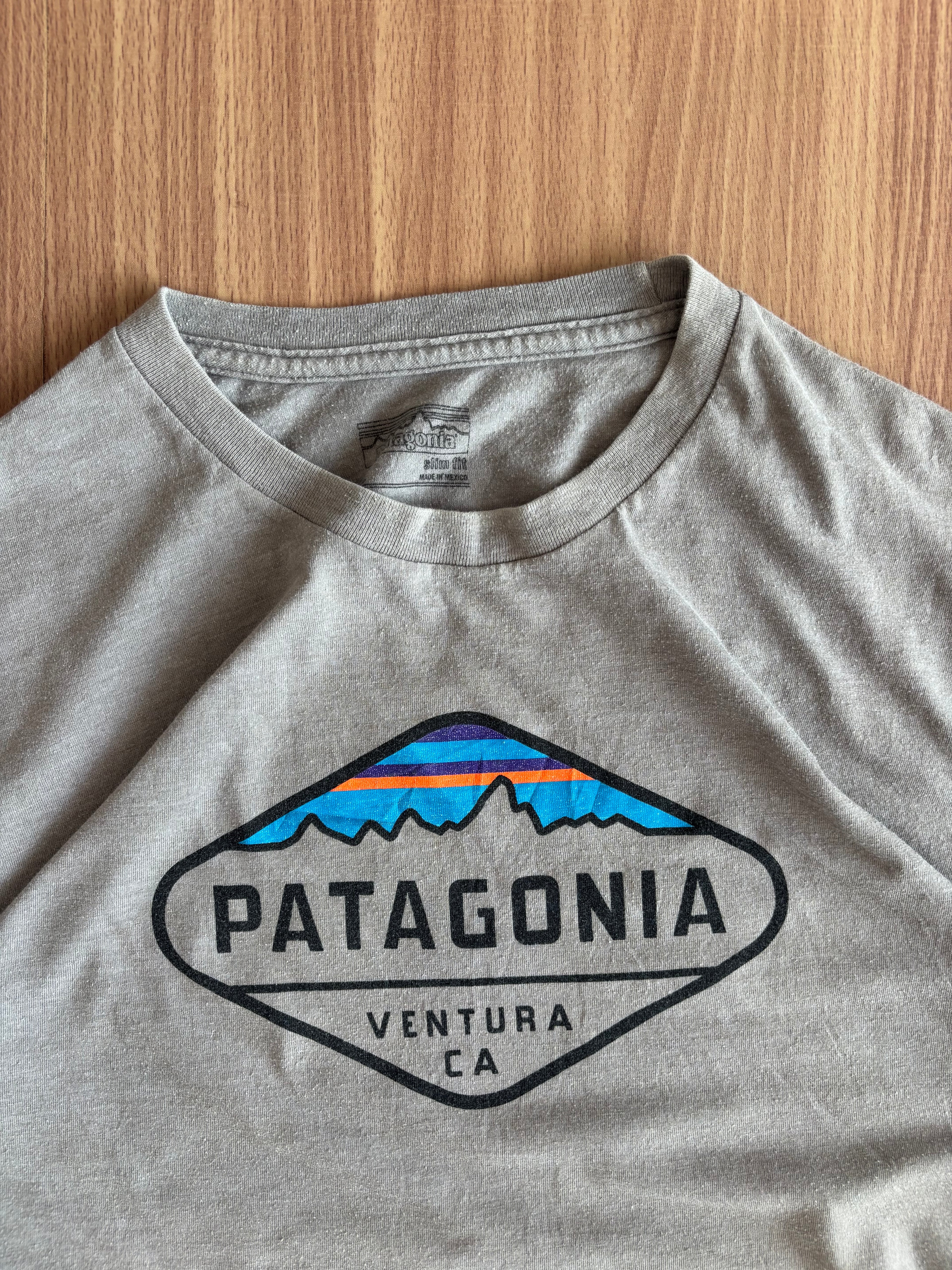 Patagonia tee