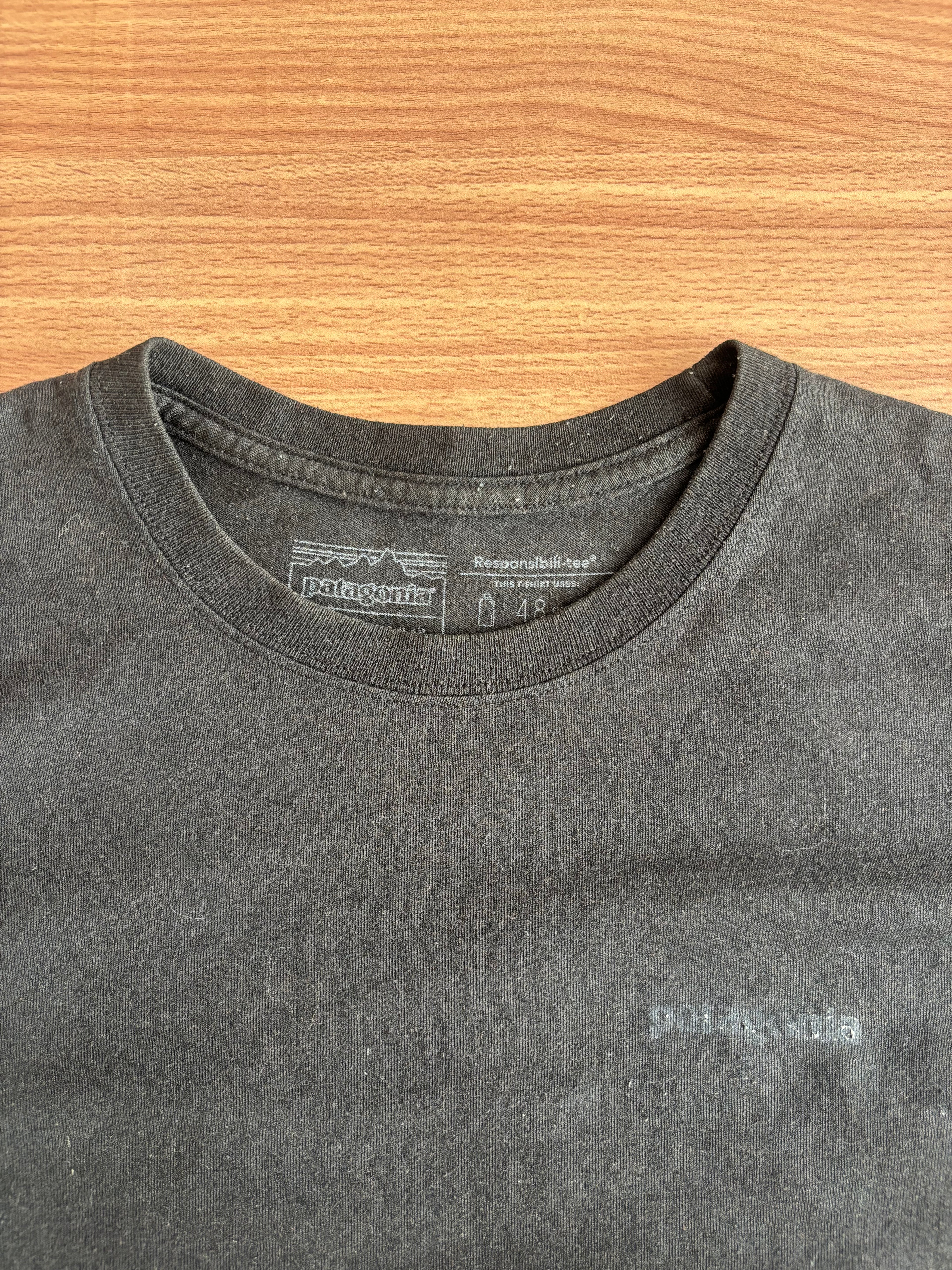 Patagonia tee (M)