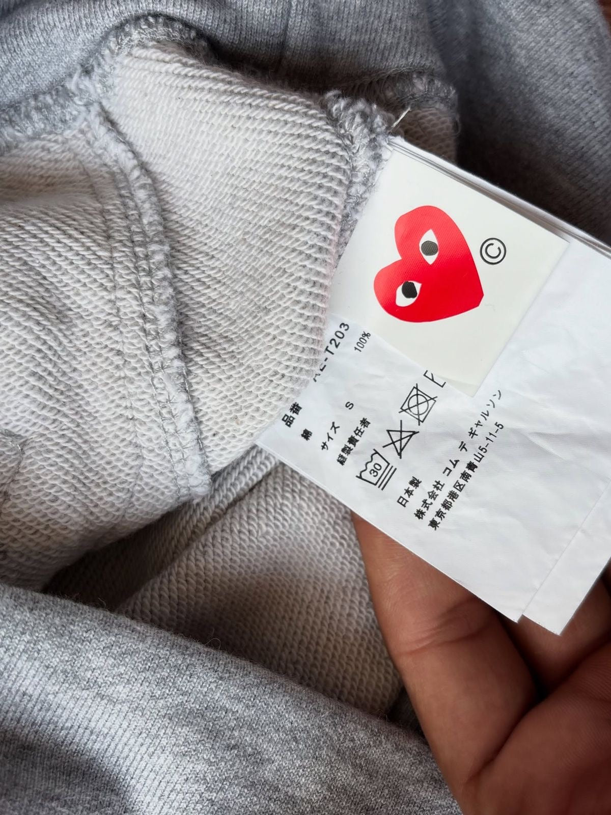 TNF x CDG authentic hoodie