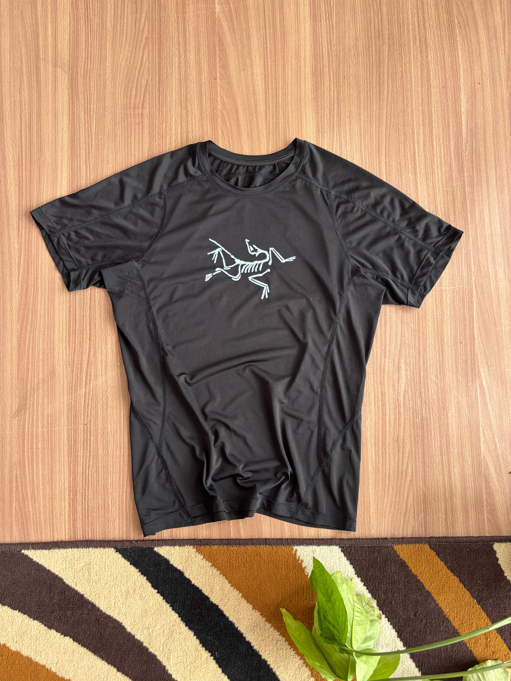 Arcteryx Tee