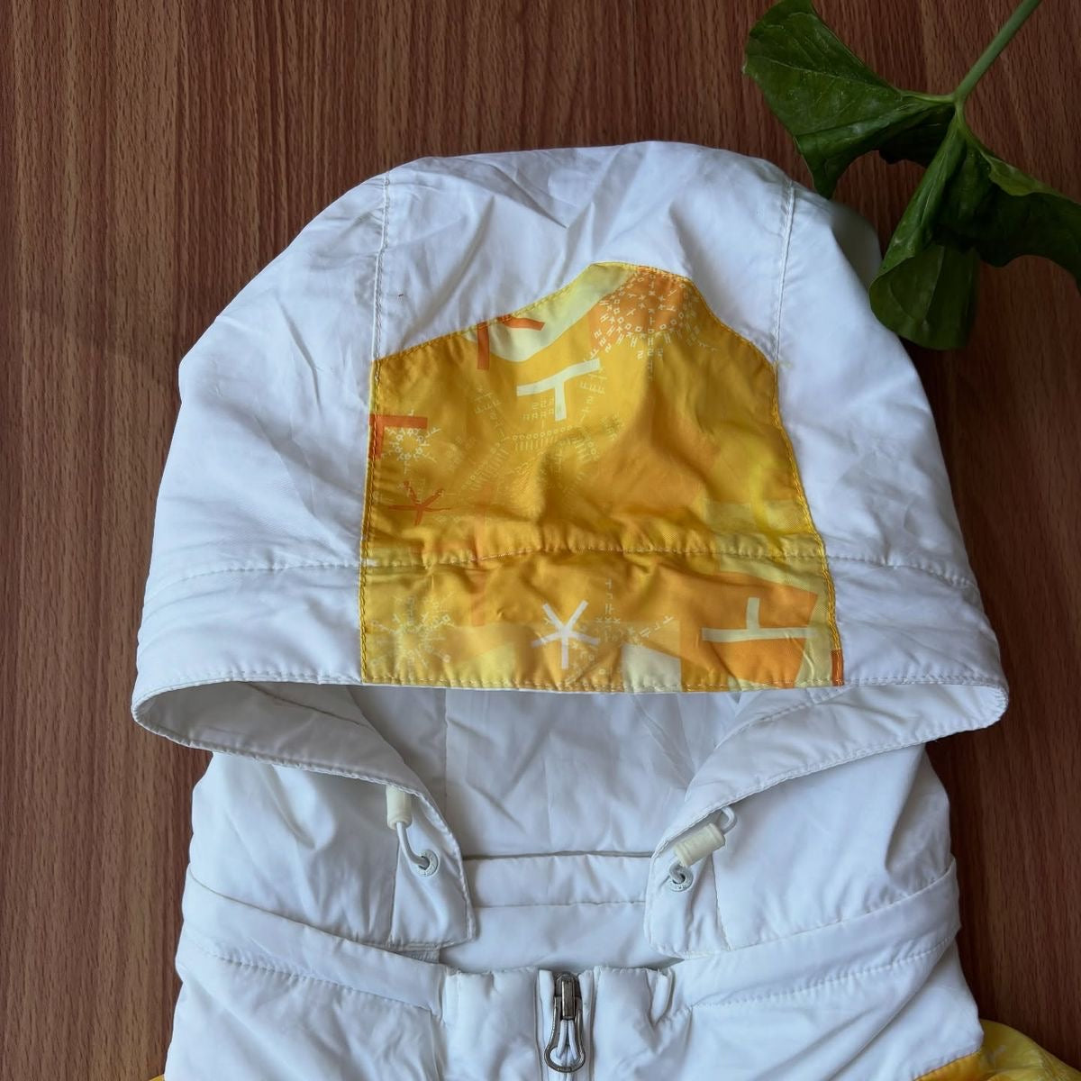 TNF PYEONGCHENG Olympic Torch Relay team gear