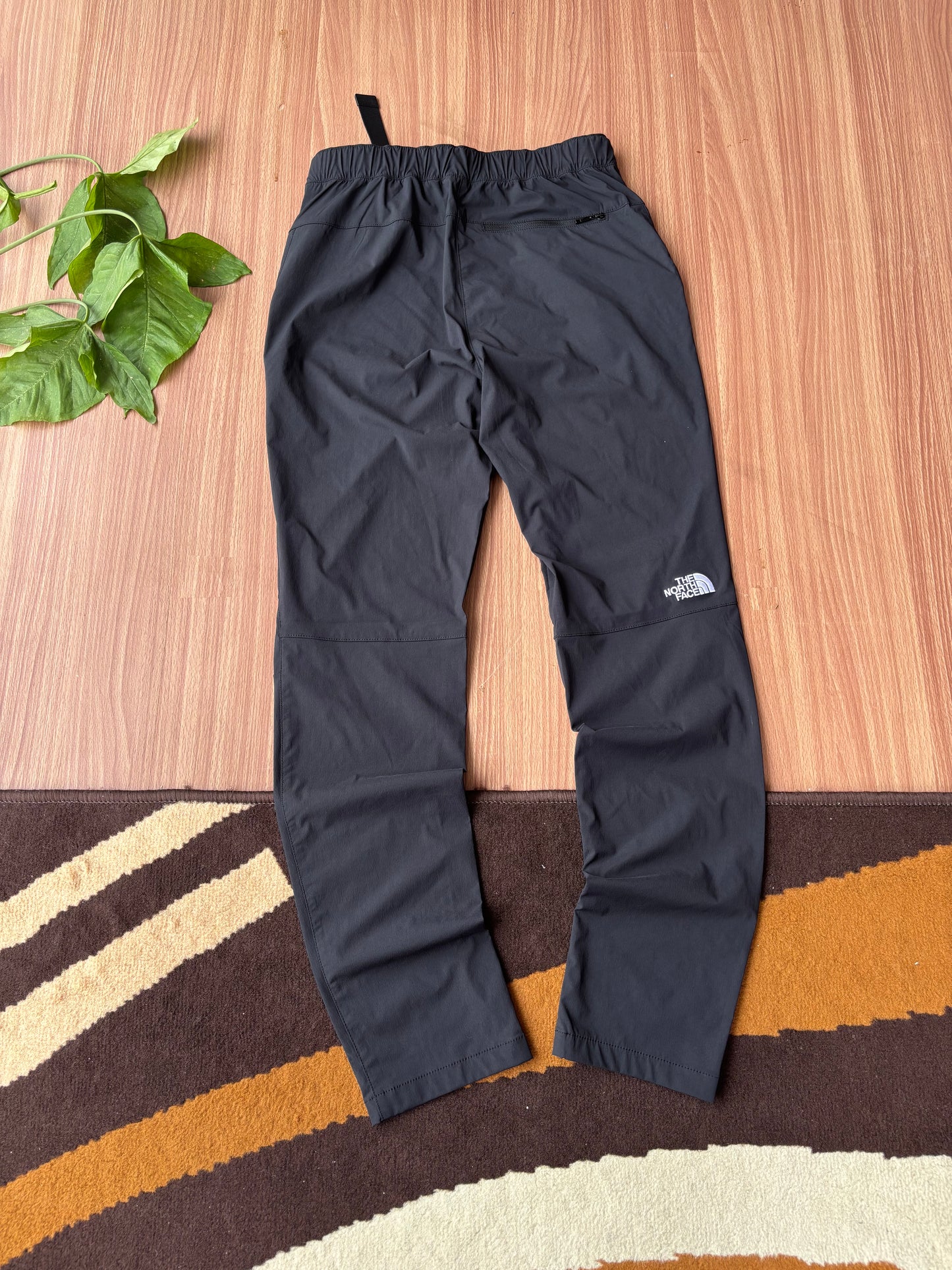 TNF summit series shell pants