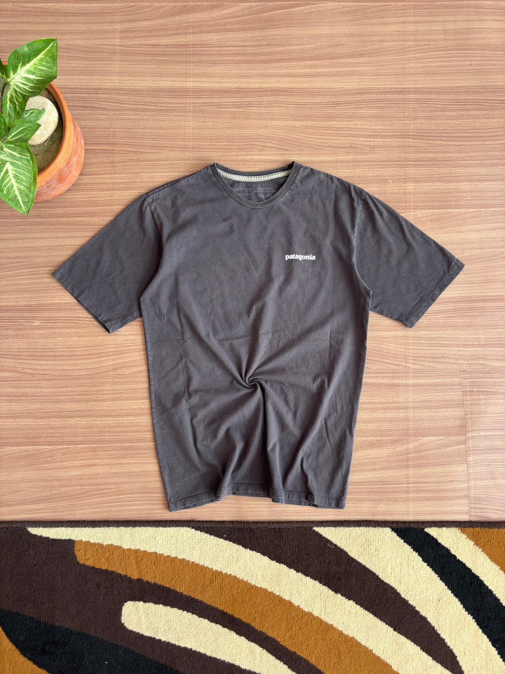 Patagonia tee