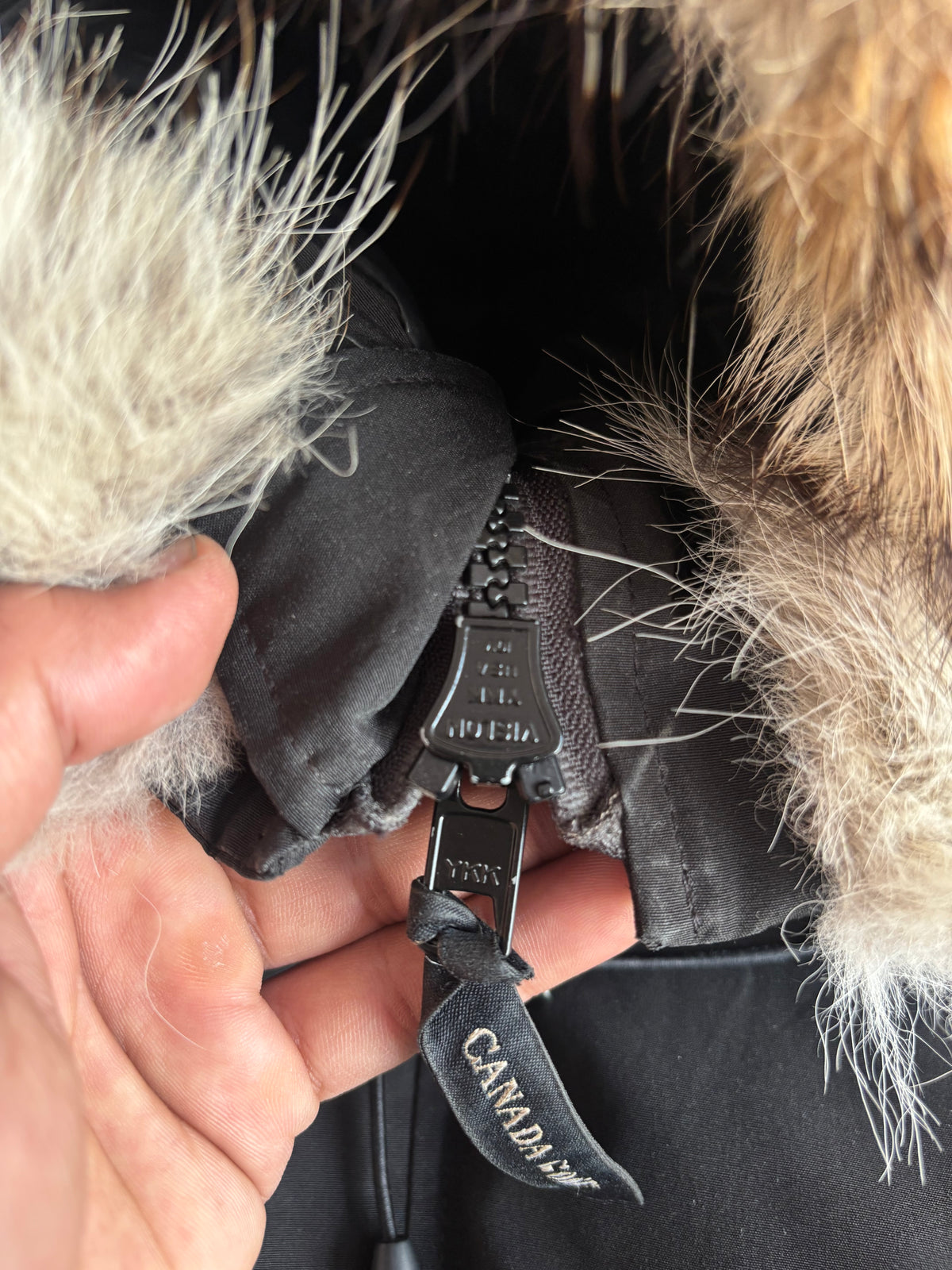 Canada Goose Chilliwack Bomber